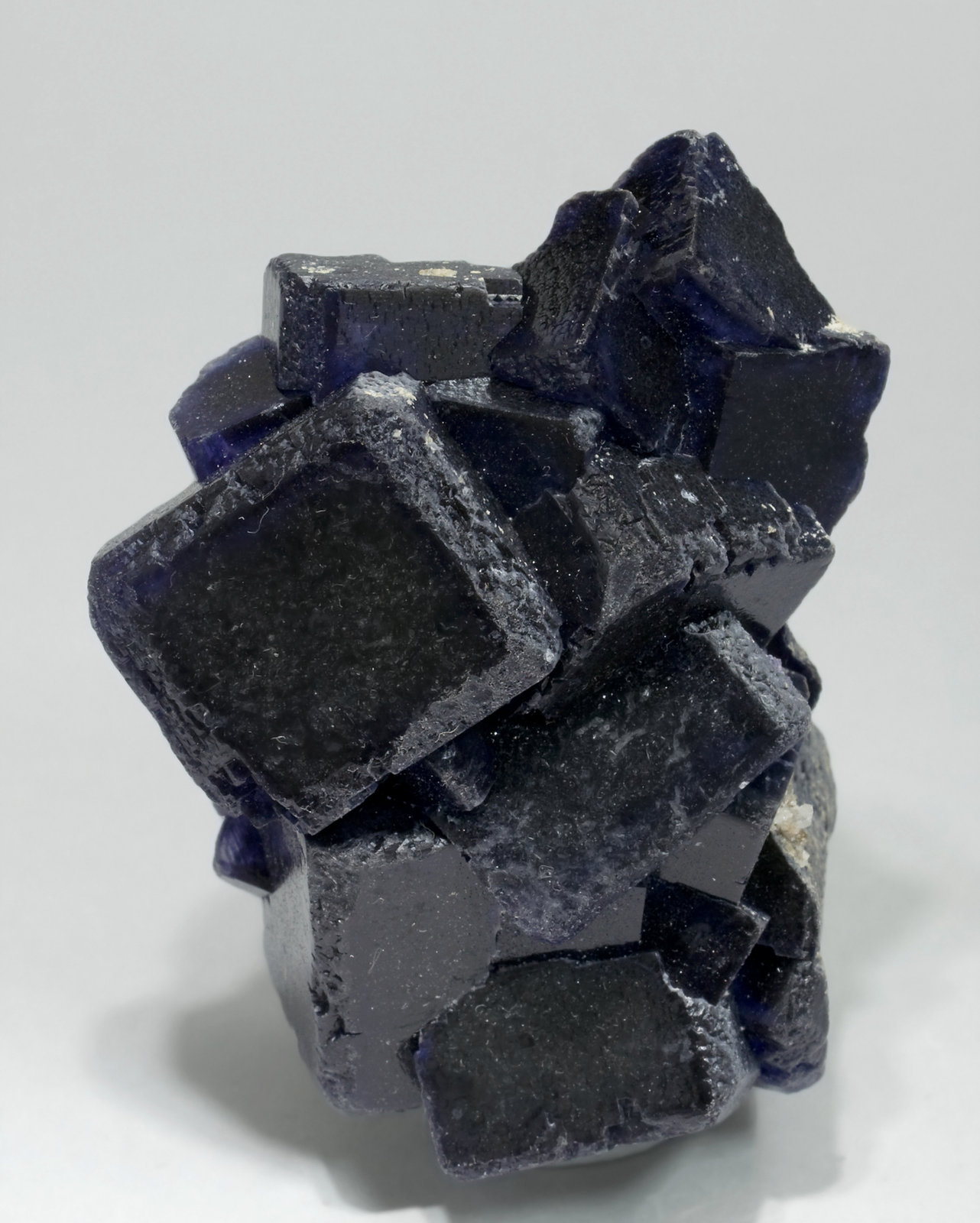 specimens/s_imagesT8/Fluorite-NR66T8f1.jpg