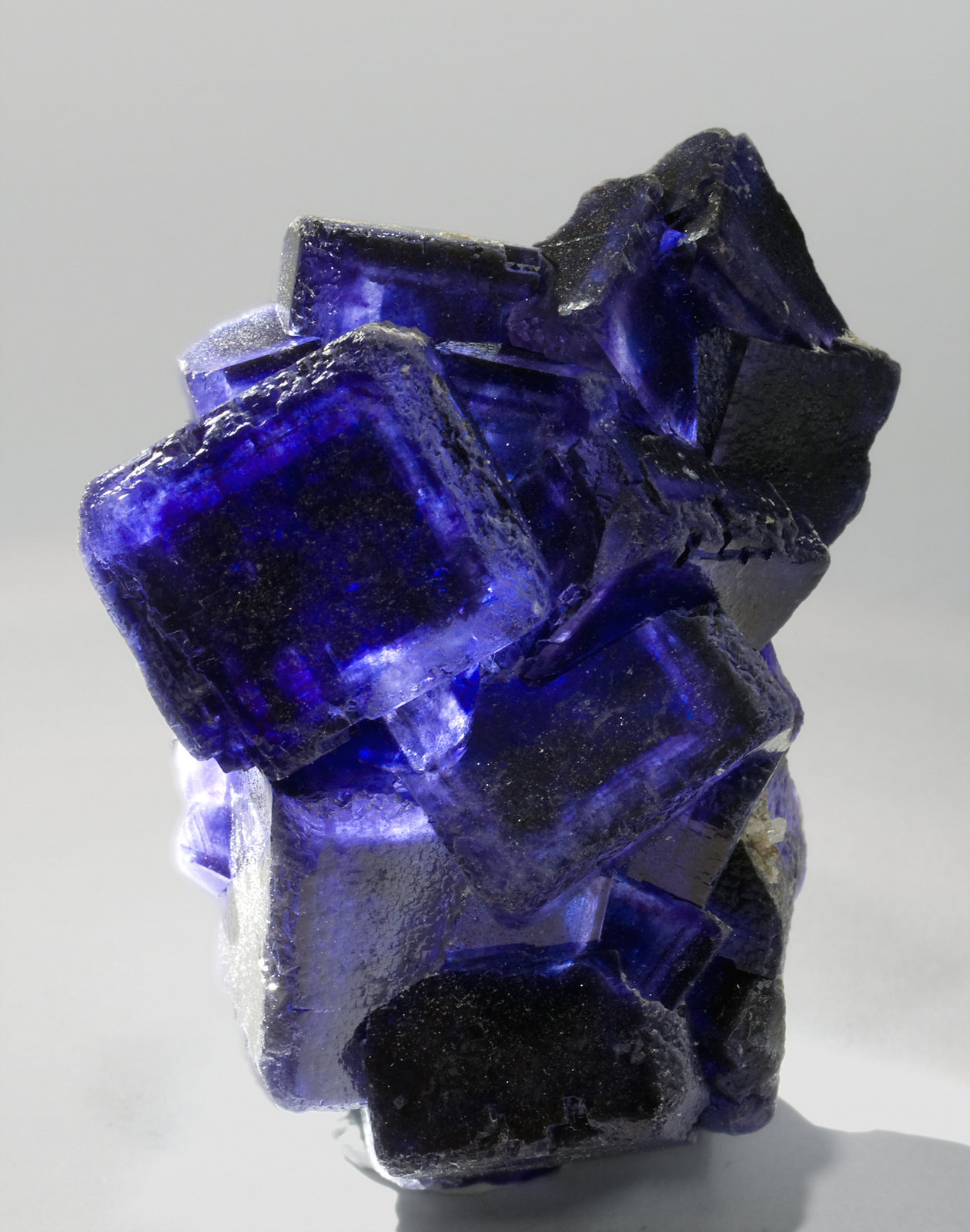 specimens/s_imagesT8/Fluorite-NR66T8f2.jpg
