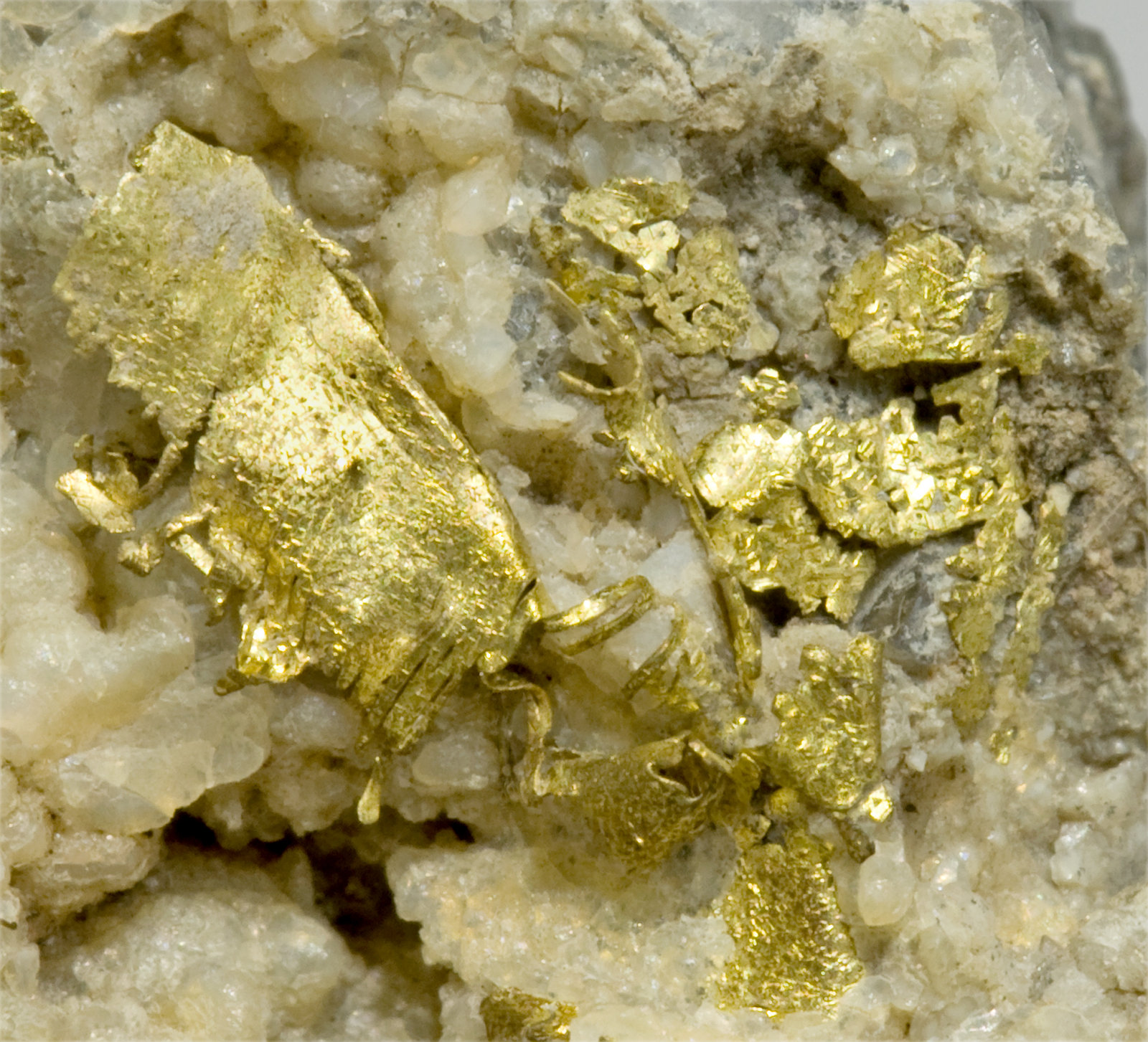 specimens/s_imagesT8/Gold-ML27T8d.jpg