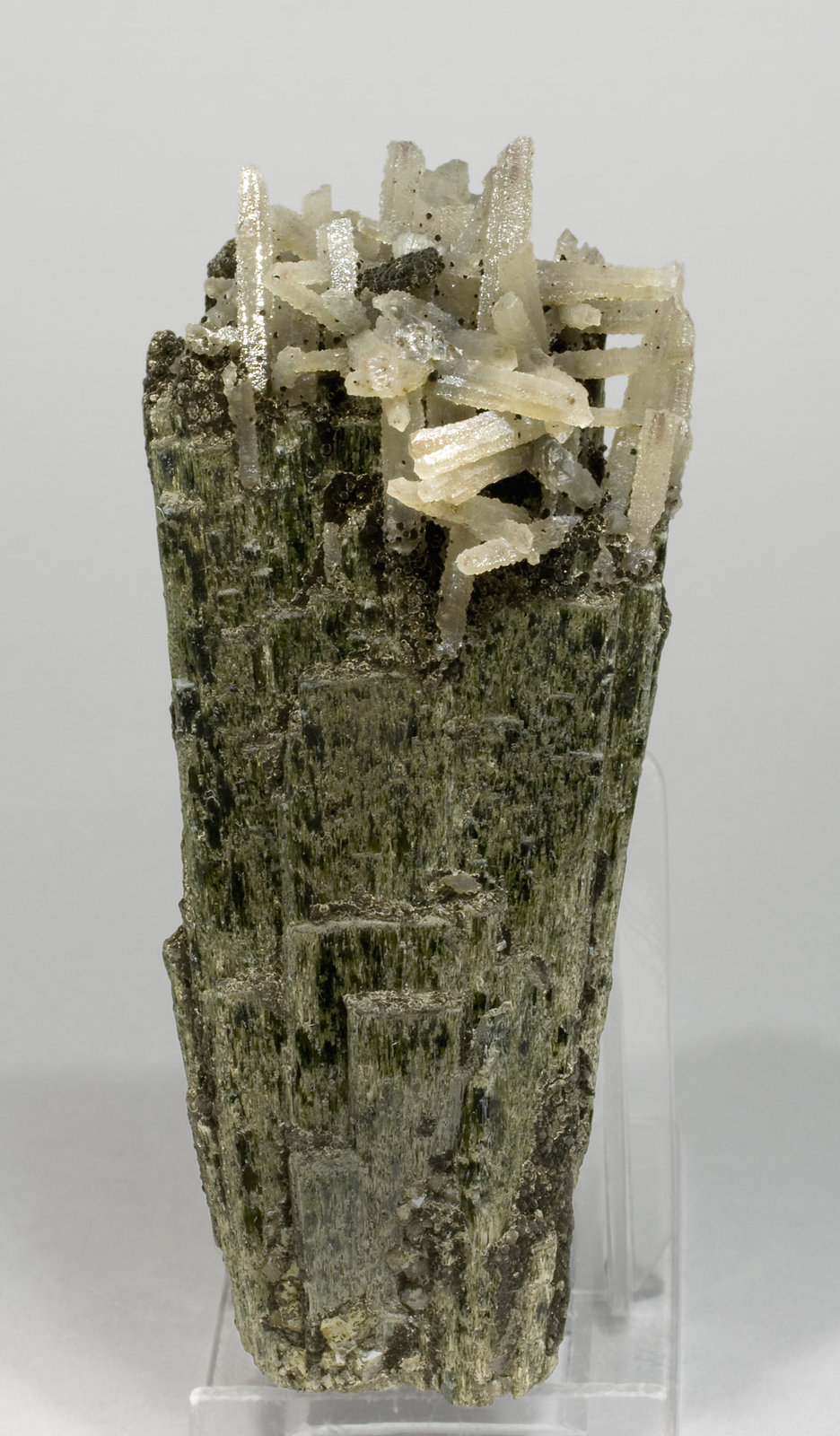 specimens/s_imagesT8/Hedenbergite-EA27T8f.jpg