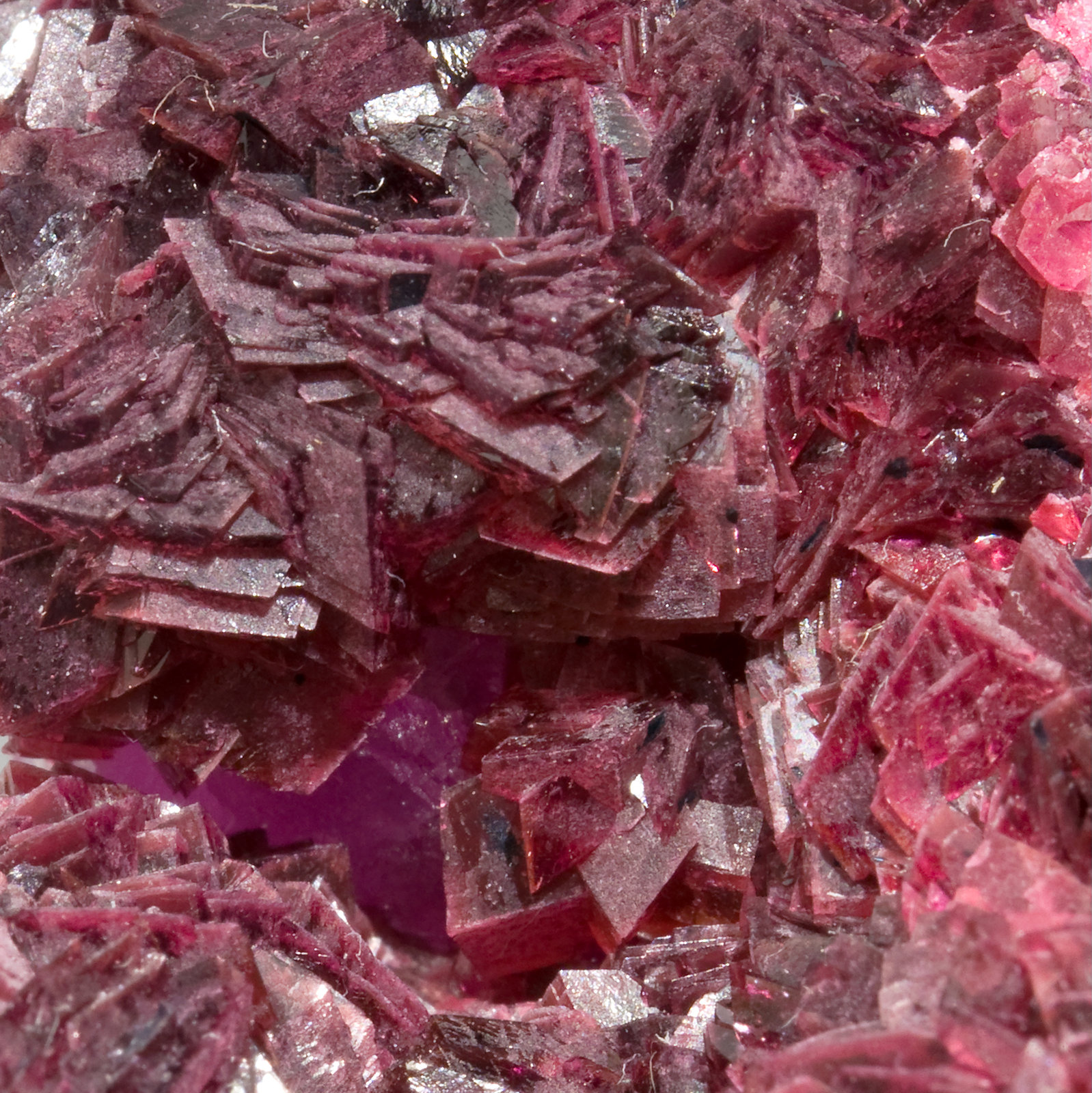 specimens/s_imagesT8/Roselite_beta-EM47T8d.jpg