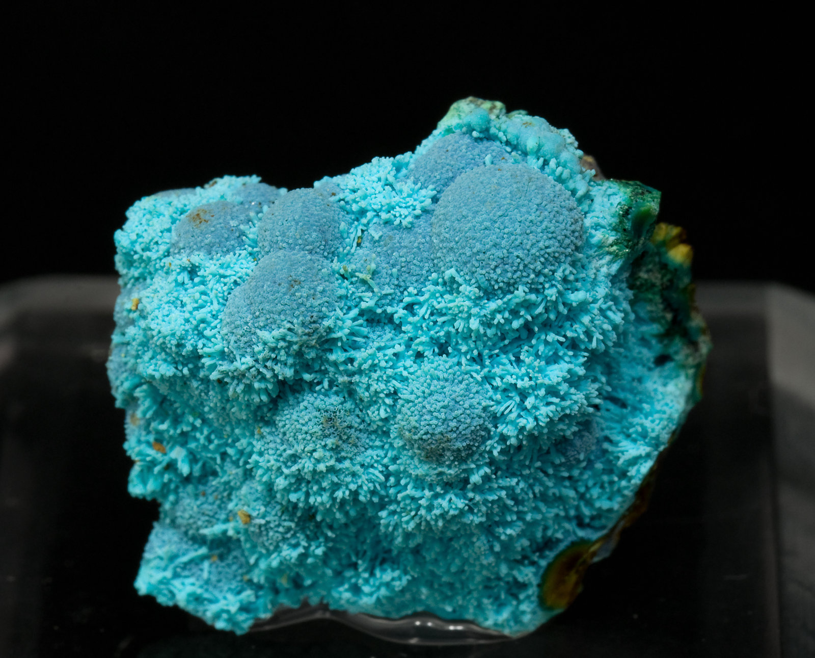 specimens/s_imagesT9/Chrysocolla-NA59T9.jpg