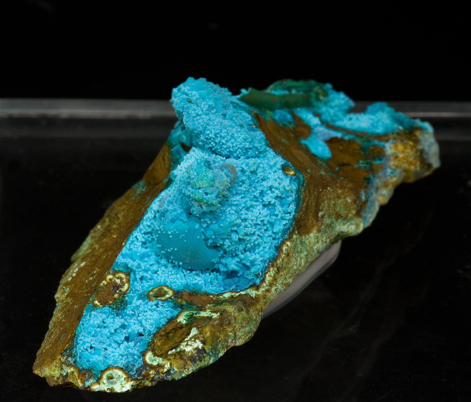 specimens/s_imagesT9/Chrysocolla-NG12T9.jpg