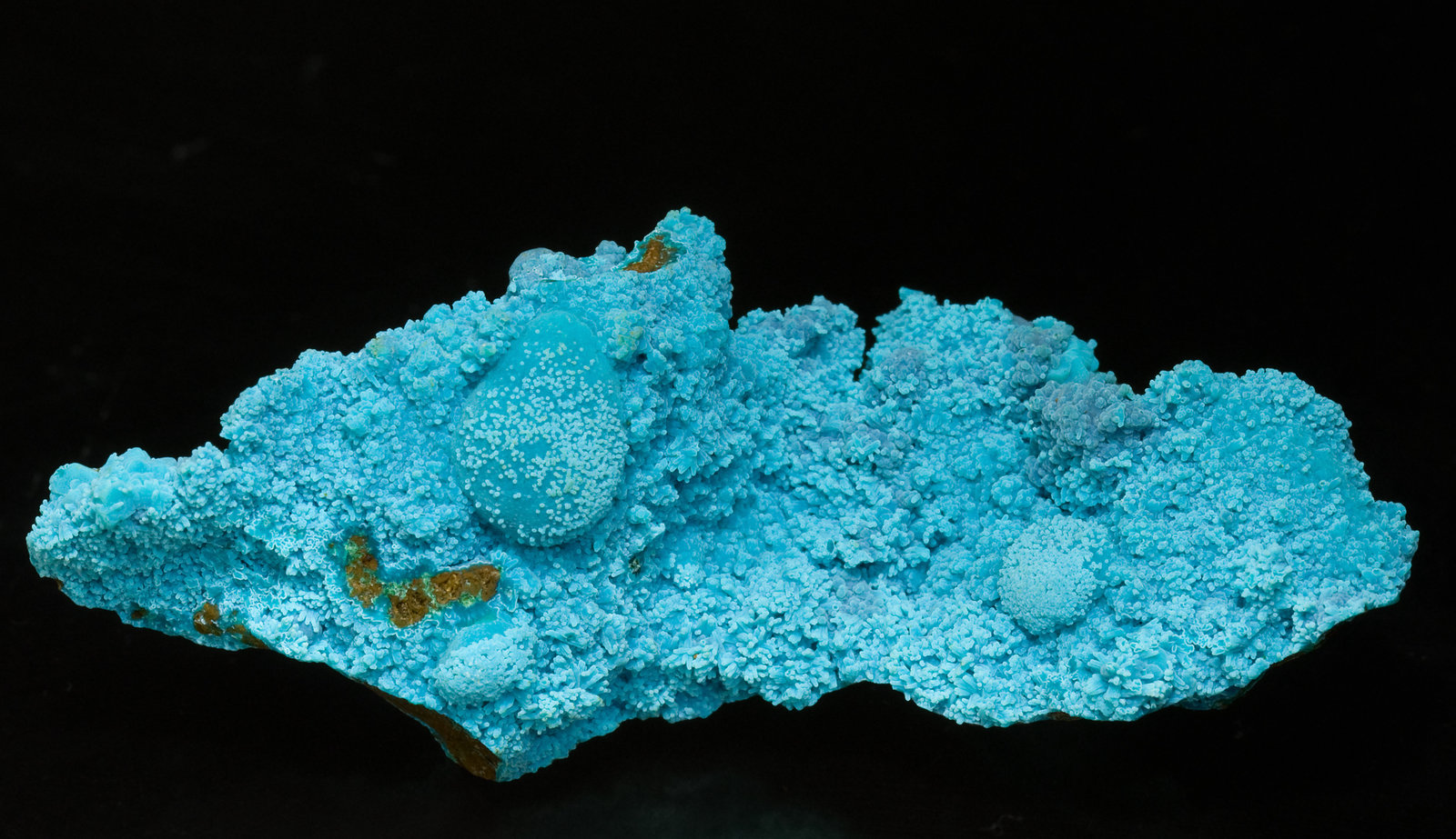specimens/s_imagesT9/Chrysocolla-NH62T9f.jpg