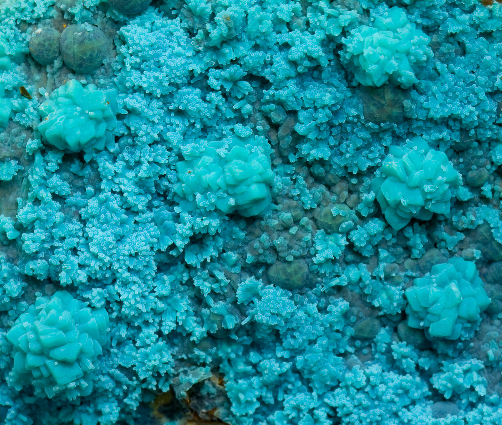 specimens/s_imagesT9/Chrysocolla-NK13T9d.jpg