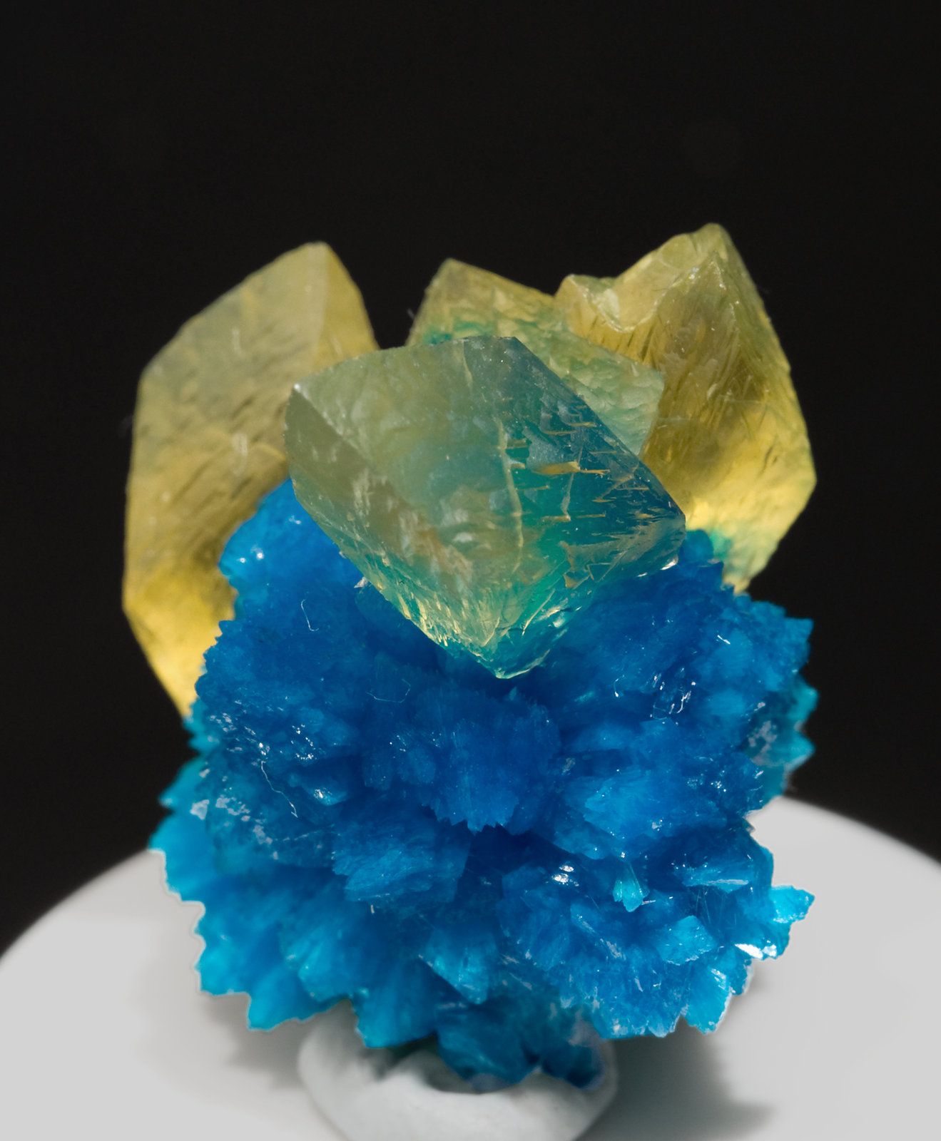 specimens/s_imagesV0/Calcite-MY27V0r.jpg