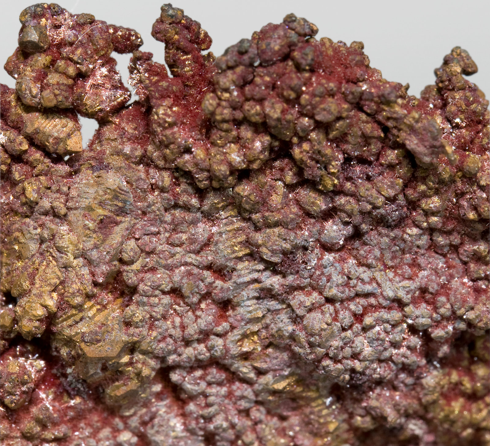 specimens/s_imagesV0/Cuprite_Chalcotrichite-RH6V0d.jpg