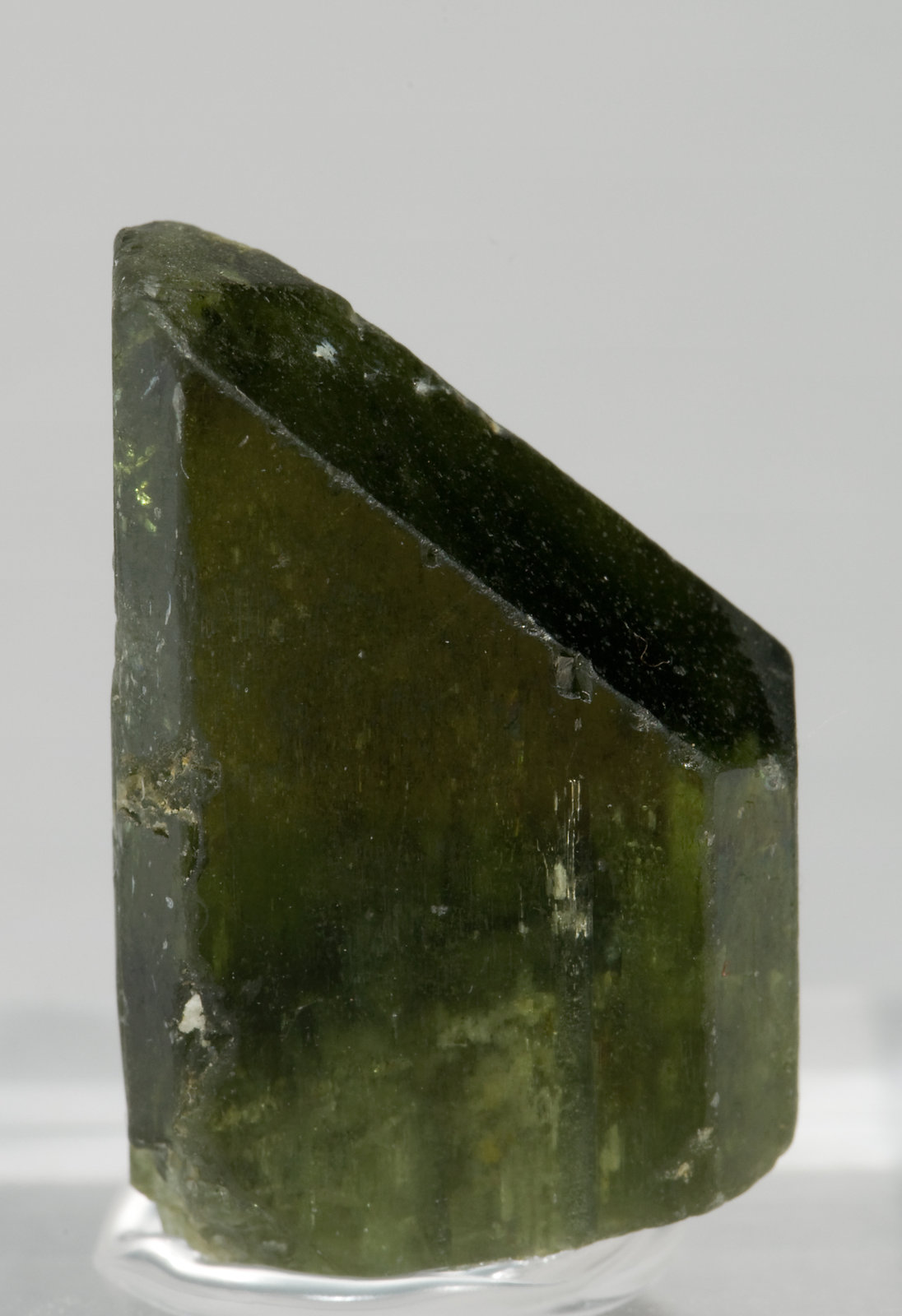 specimens/s_imagesV0/Diopside-RP59V0f.jpg