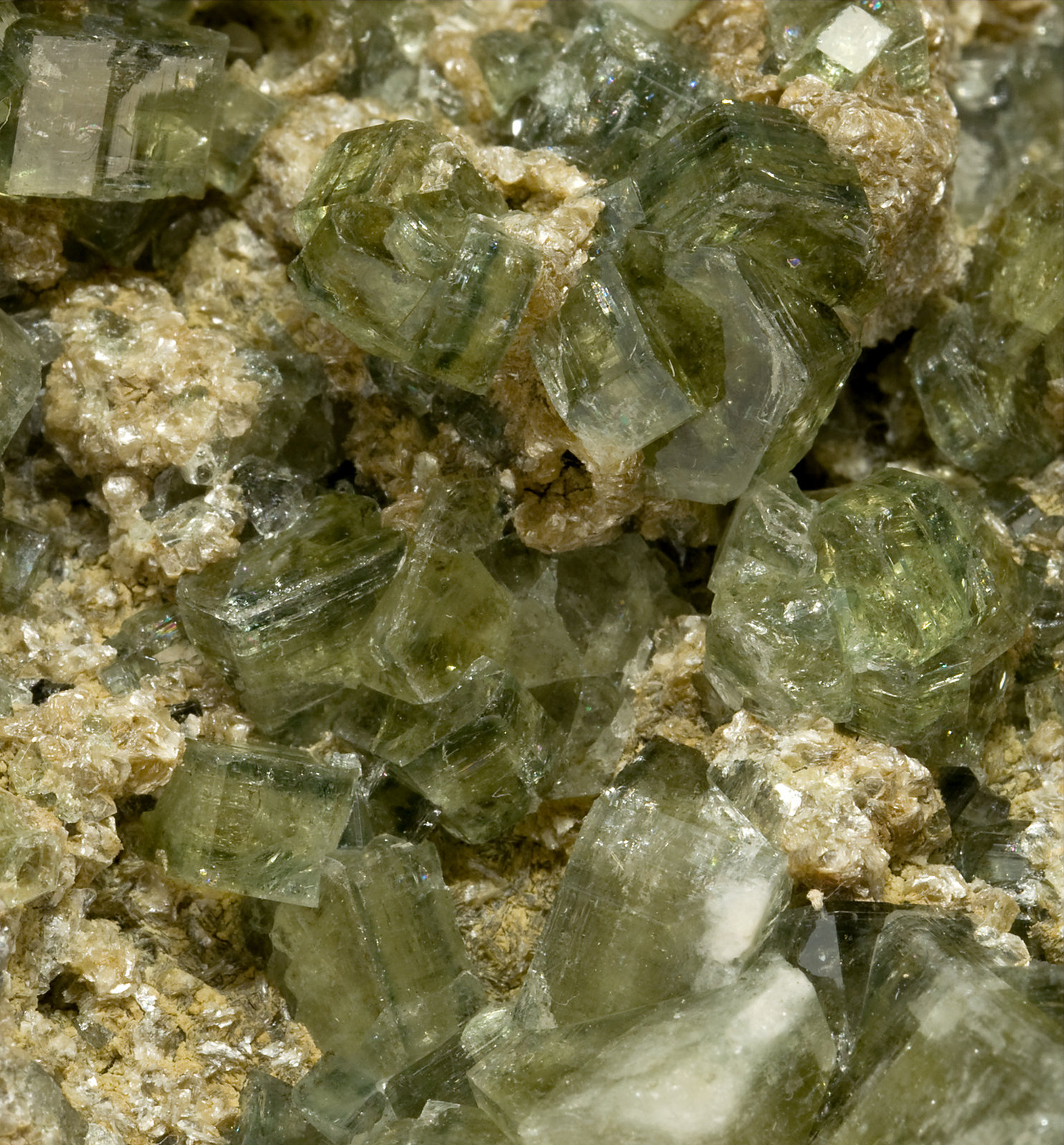 specimens/s_imagesV0/Fluorapatite-RX36V0d.jpg