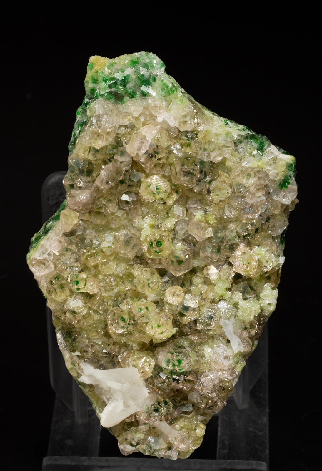 specimens/s_imagesV1/Grossular-TC87V1f.jpg