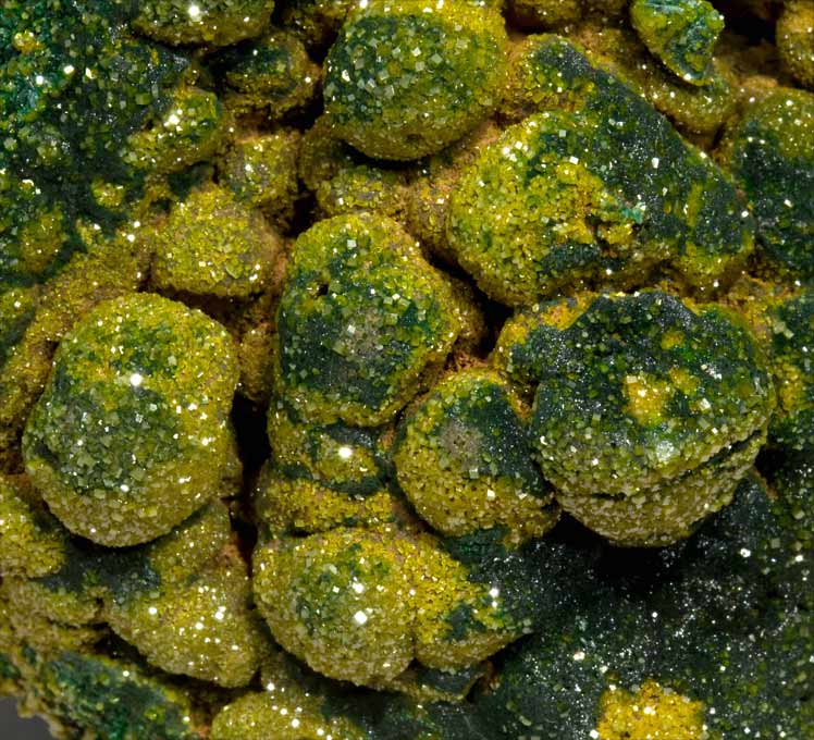specimens/s_imagesV2/Pyromorphite-TR89V2d.jpg
