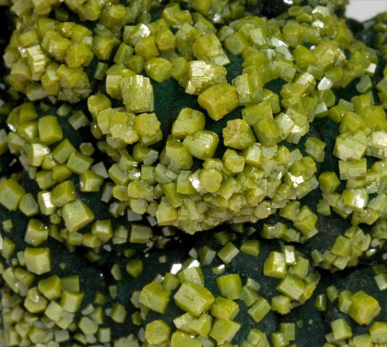 specimens/s_imagesV2/Pyromorphite-TY70V2d.jpg