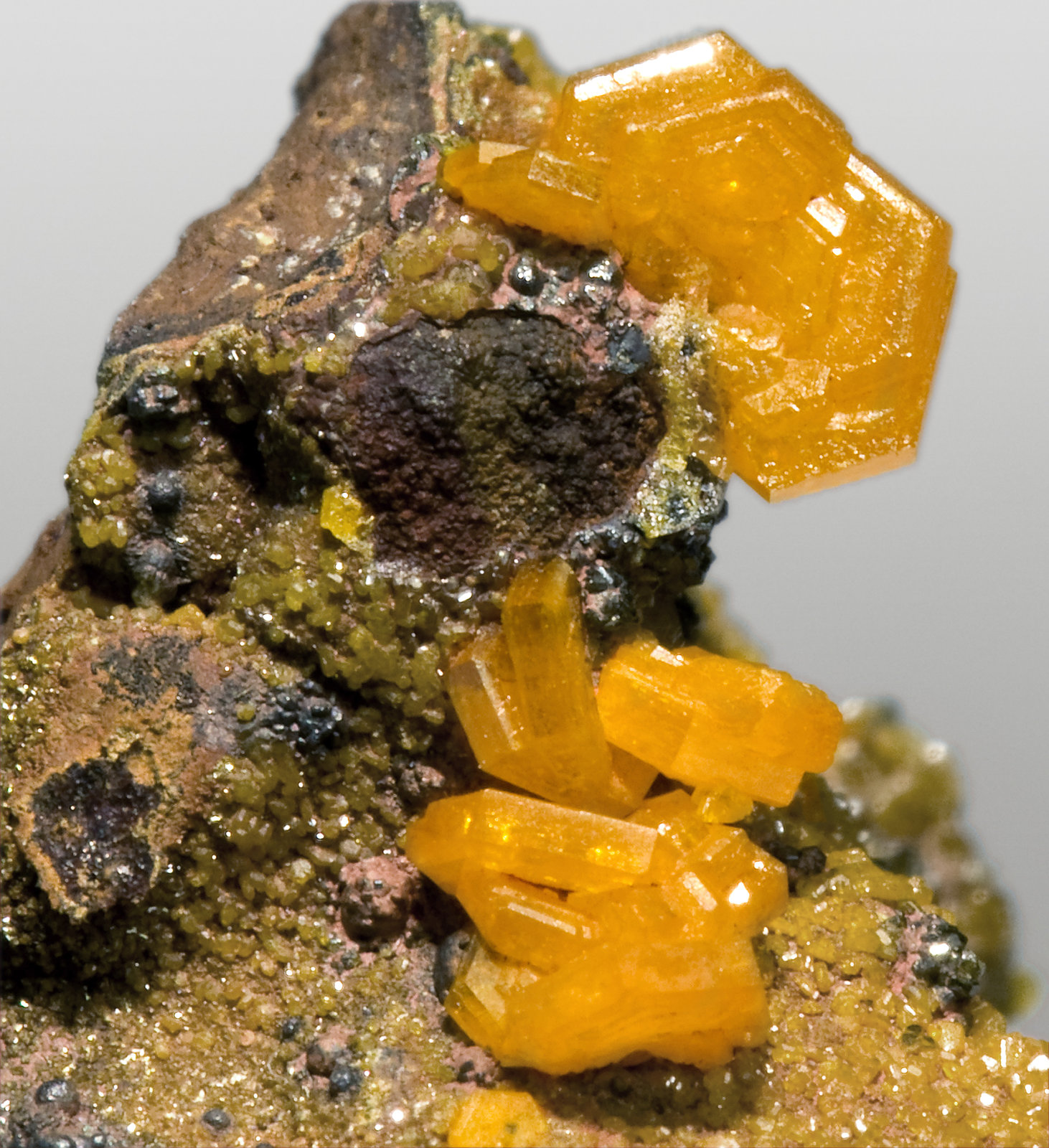 specimens/s_imagesV3/Mimetite-NB12V3d.jpg