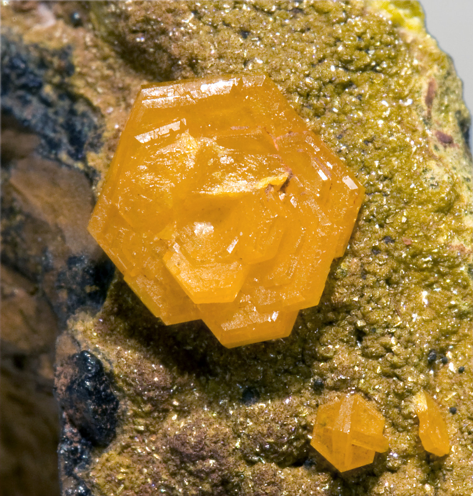 specimens/s_imagesV3/Mimetite-NE63V3d.jpg