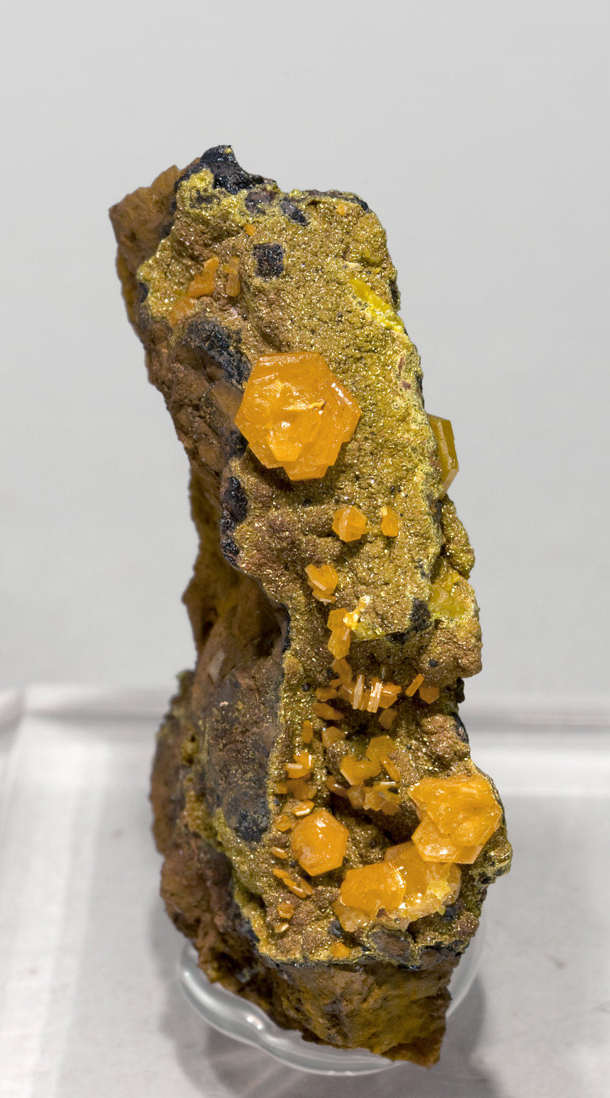 specimens/s_imagesV3/Mimetite-NE63V3f.jpg