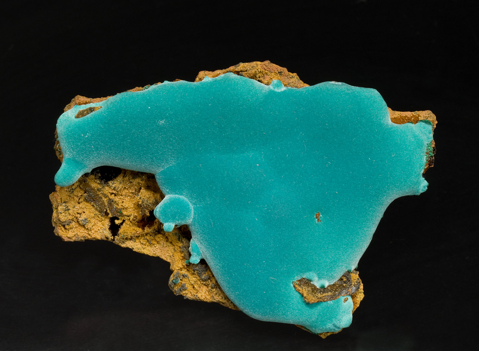 specimens/s_imagesV5/Rosasite-TQ66V5.jpg