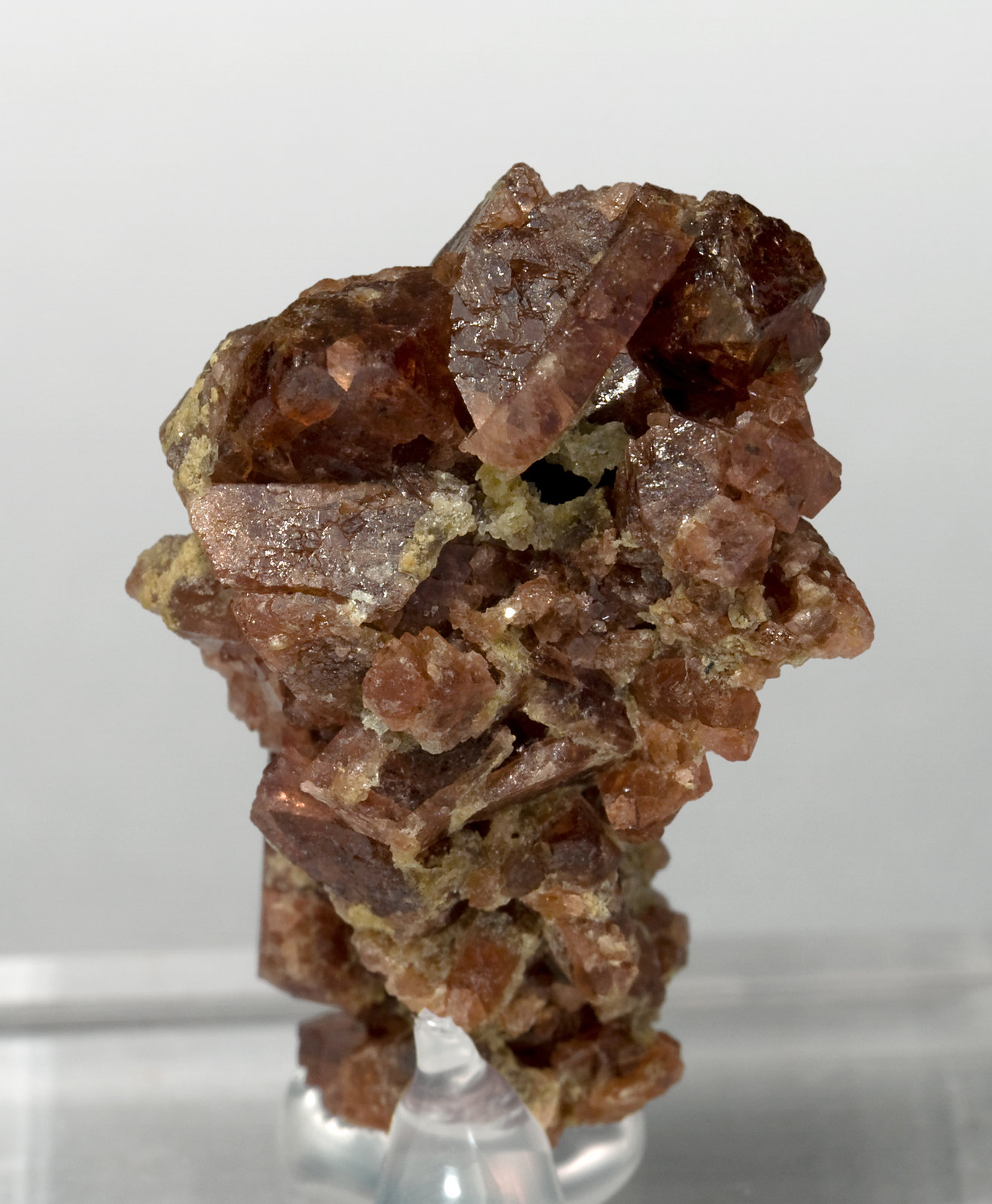 specimens/s_imagesV5/Spinel-NY59V5r.jpg