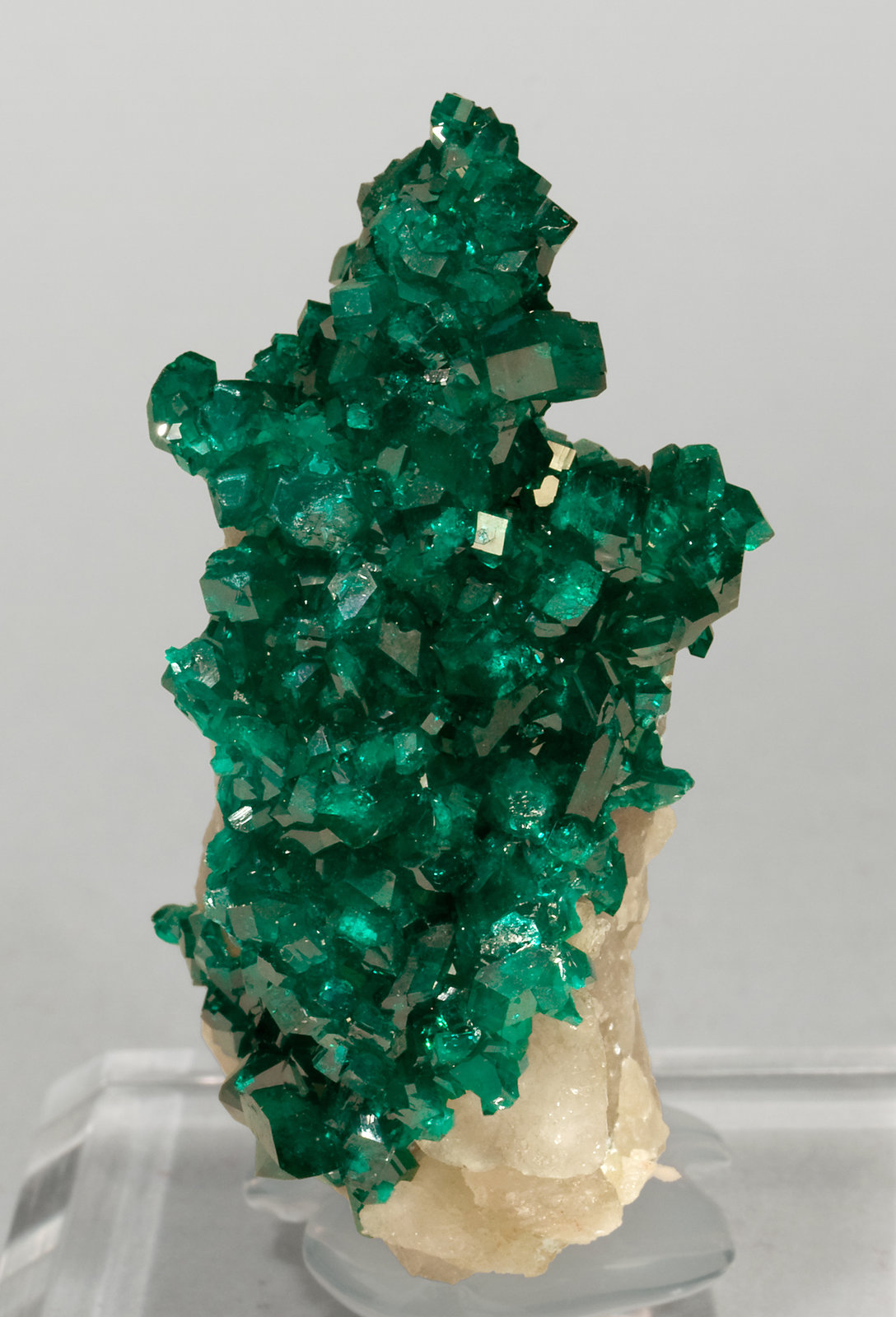 specimens/s_imagesV7/Dioptase-TD98V7f.jpg