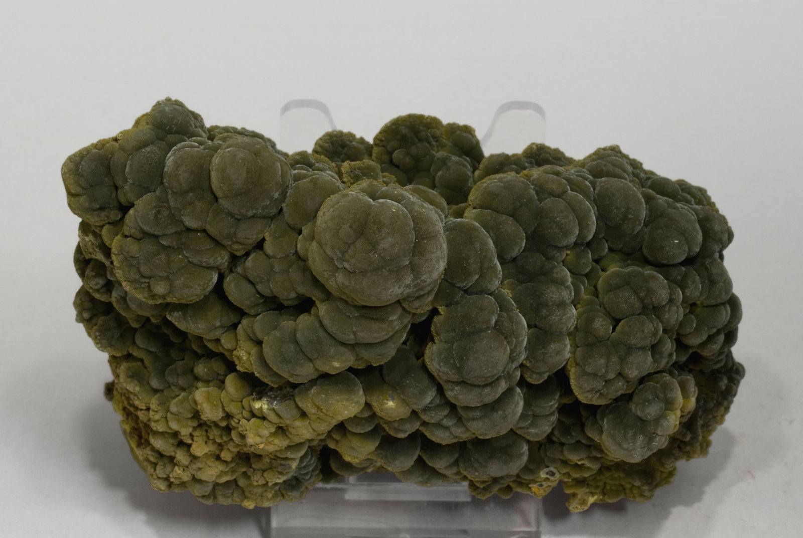 specimens/s_imagesV7/Mottramite-TX28V7f.jpg