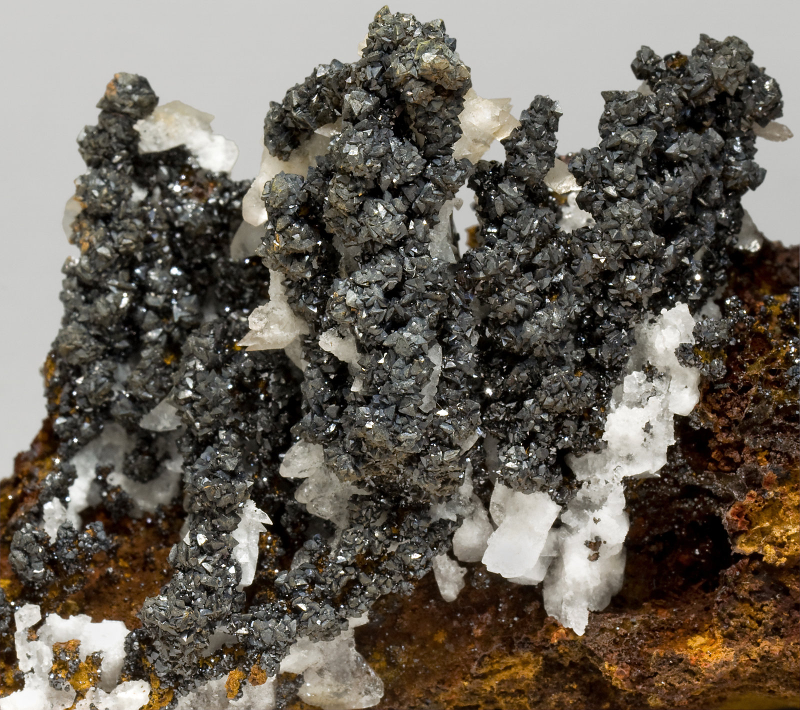 specimens/s_imagesV8/Descloizite-NB28V8d.jpg