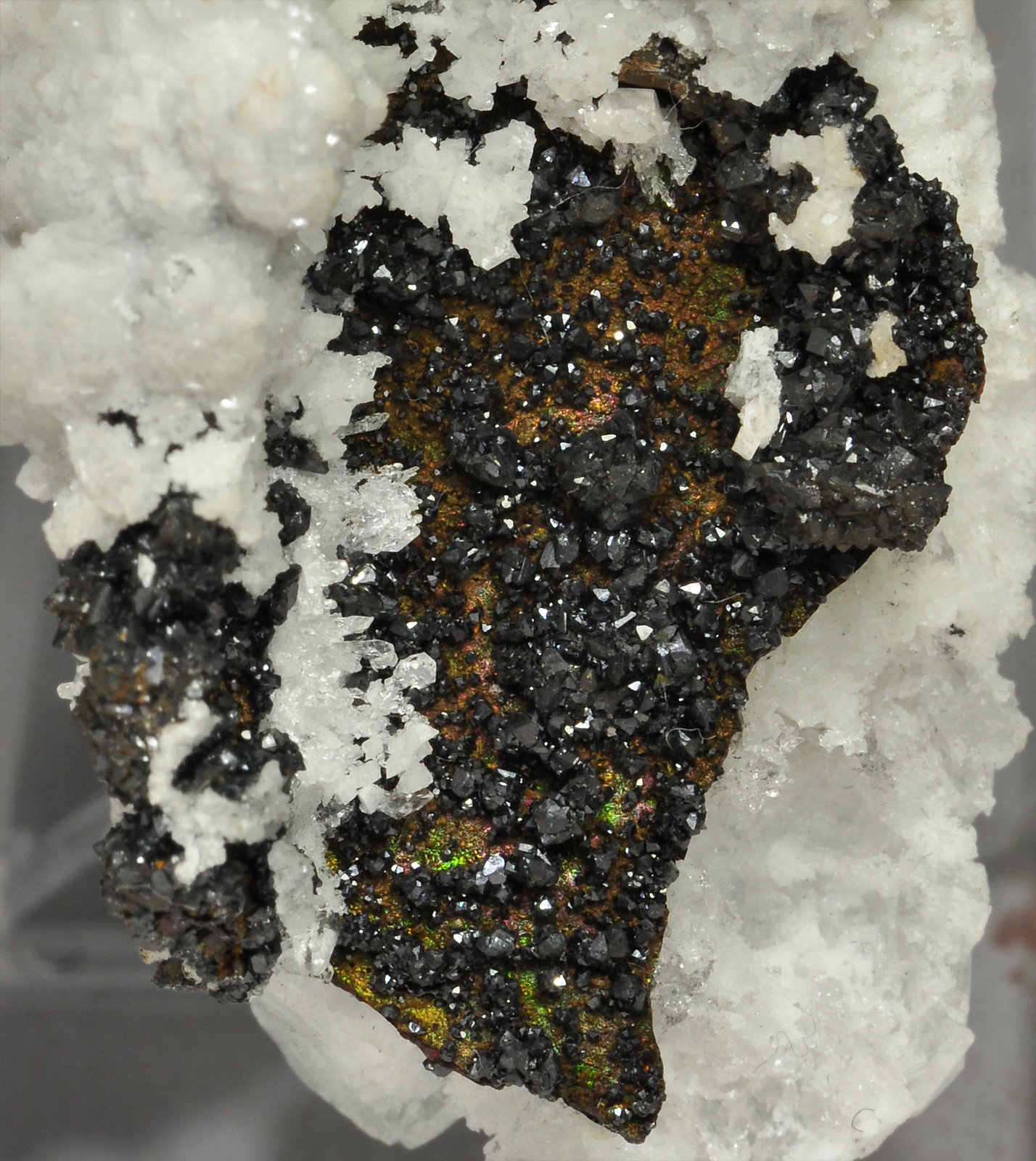 specimens/s_imagesV8/Descloizite-NZ63V8d.jpg