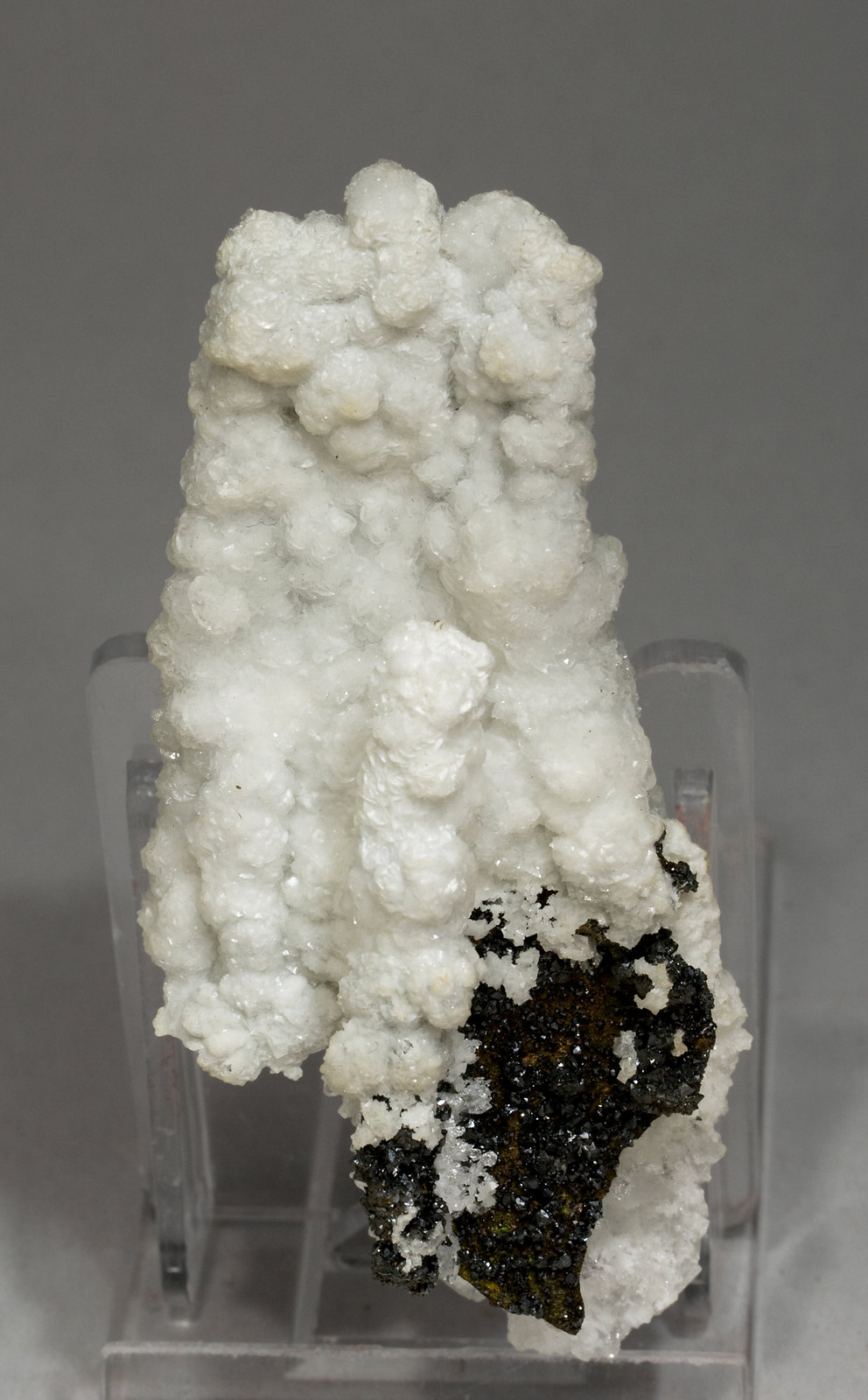 specimens/s_imagesV8/Descloizite-NZ63V8f.jpg