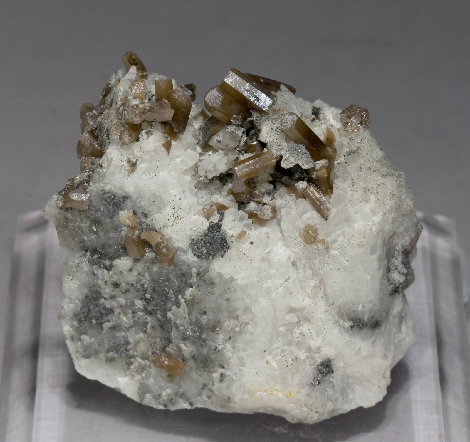 specimens/s_imagesV8/Pyromorphite-TV64V8f.jpg