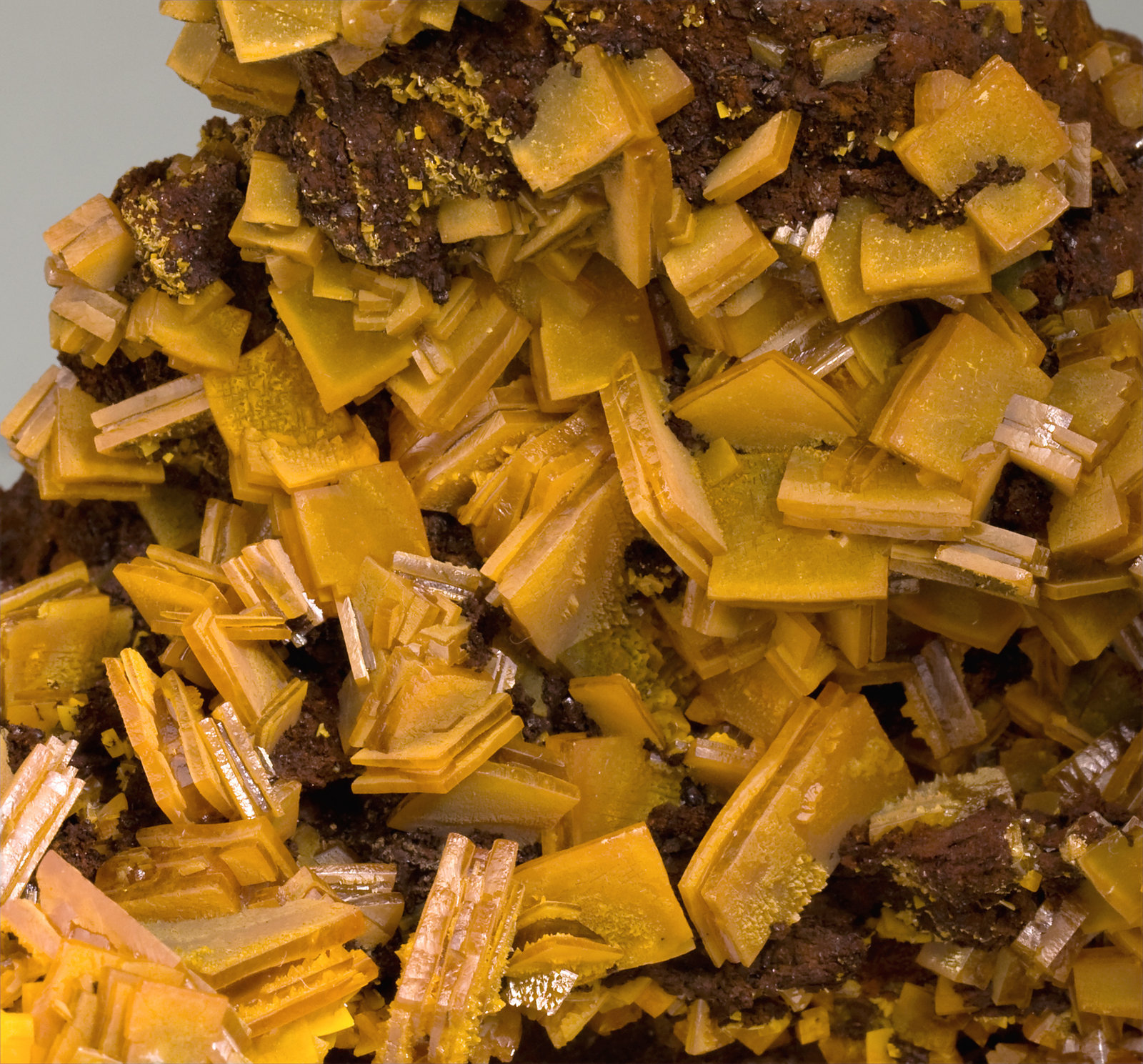 specimens/s_imagesV9/Wulfenite-EE89V9d.jpg