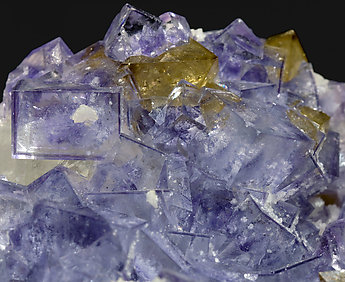 Fluorite with Scheelite and Calcite. 