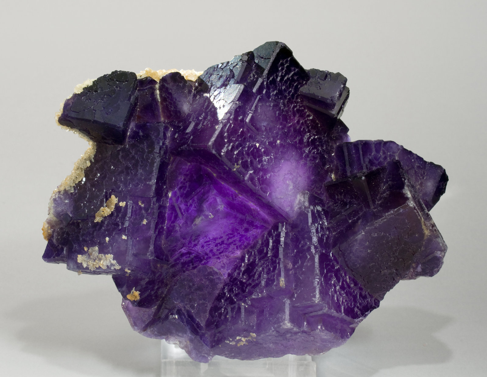 specimens/s_imagesW0/Fluorite-JX90W0f2.jpg