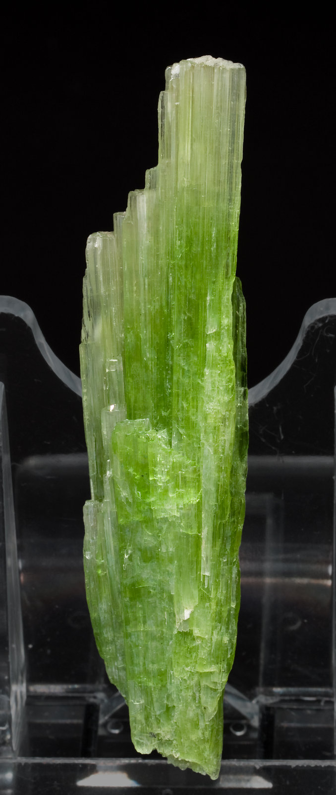 specimens/s_imagesW1/Tremolite-EA27W1f.jpg