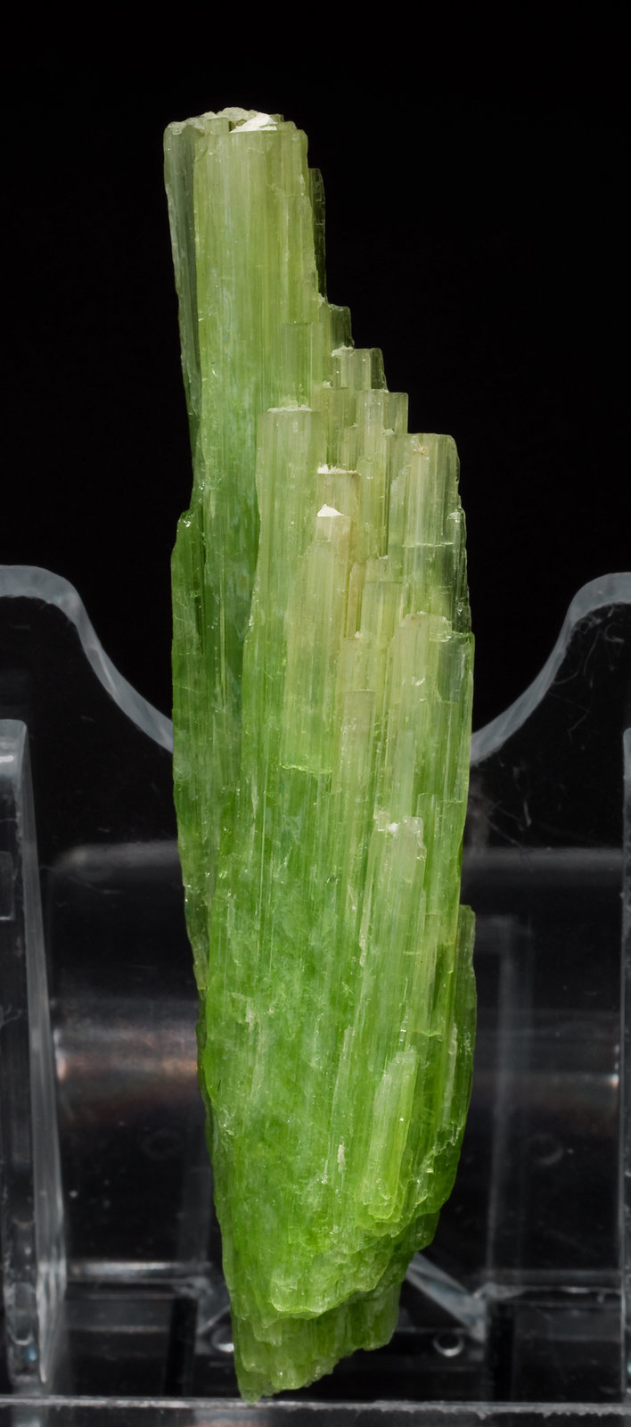 specimens/s_imagesW1/Tremolite-EA27W1r.jpg