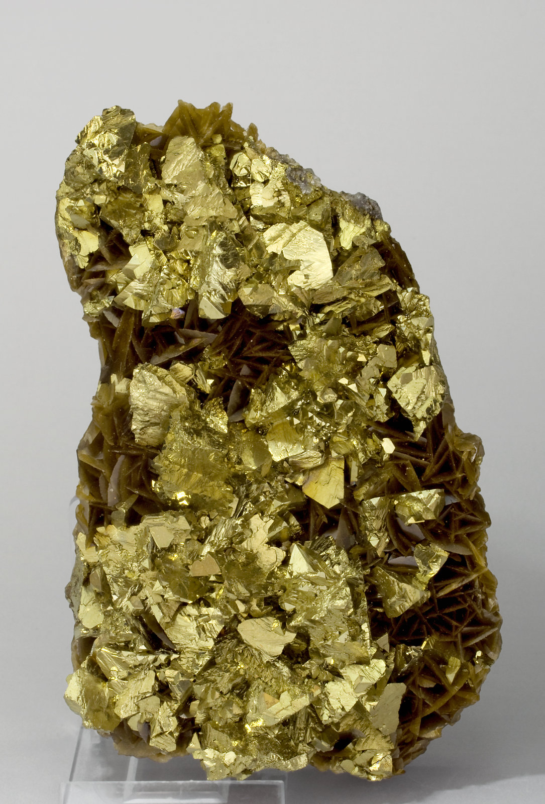 specimens/s_imagesW2/Chalcopyrite-EP90W2f.jpg