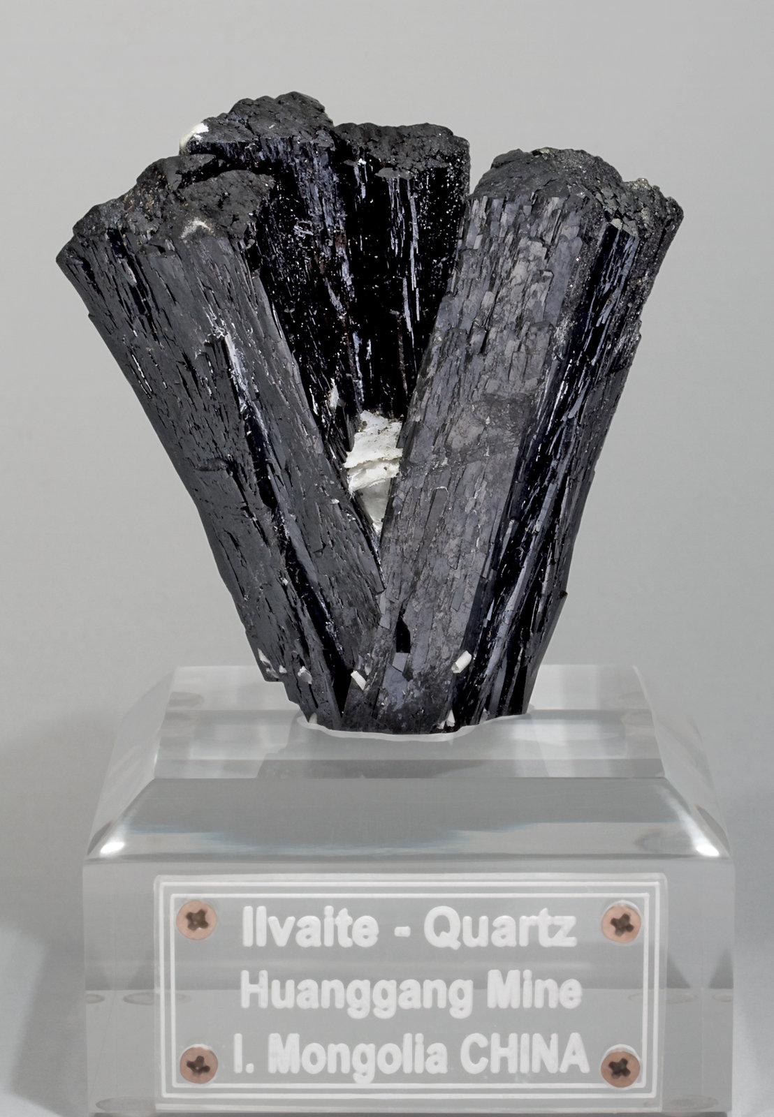 specimens/s_imagesW2/Ilvaite-MY94W2f.jpg