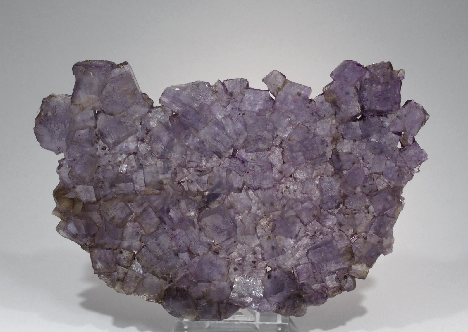 specimens/s_imagesW3/Fluorite-JA28W3f.jpg