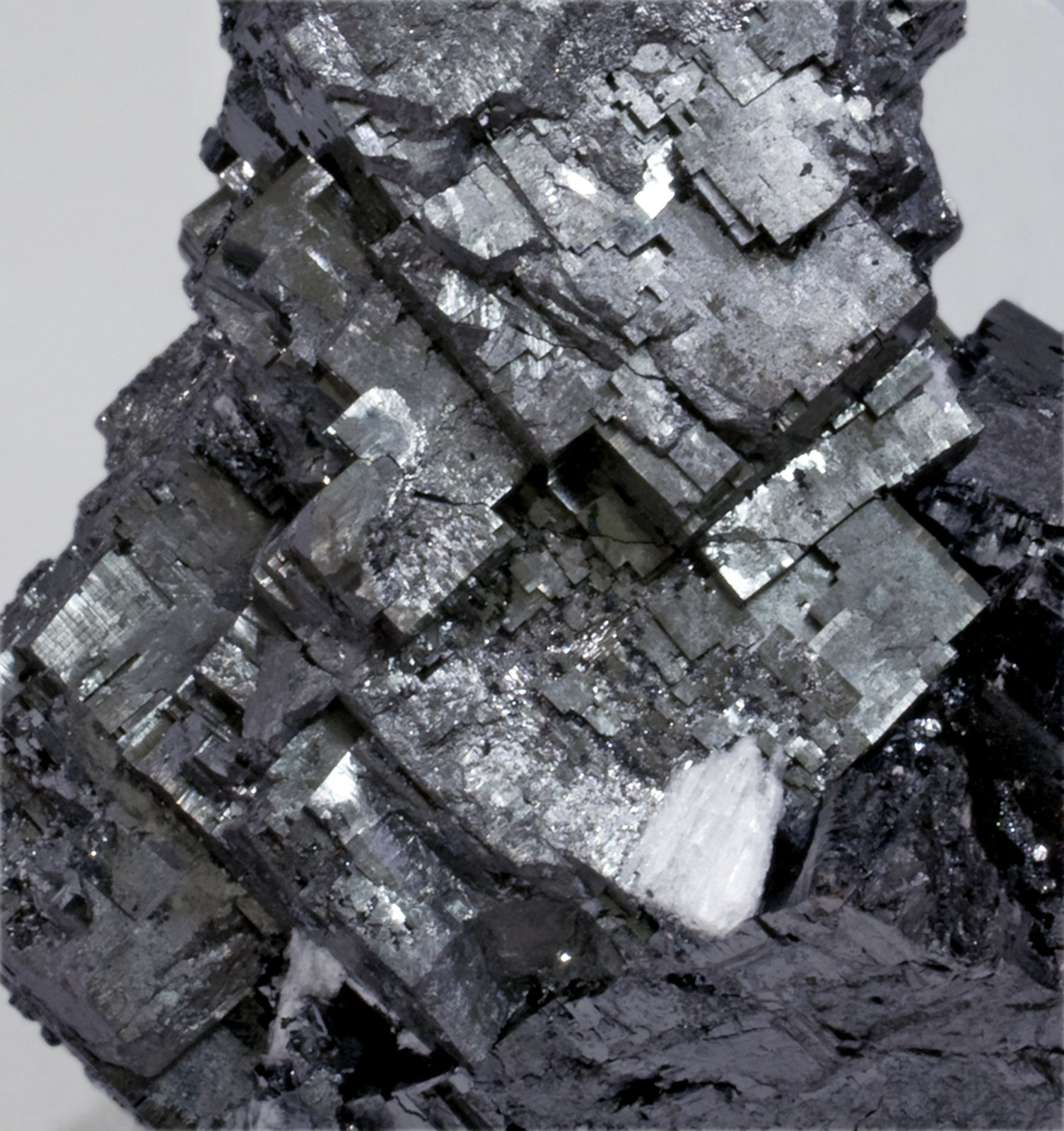 specimens/s_imagesW4/Bixbyite-TG96W4d.jpg