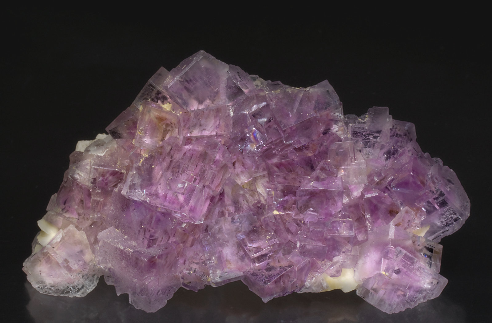 specimens/s_imagesW4/Fluorite-TH47W4f.jpg