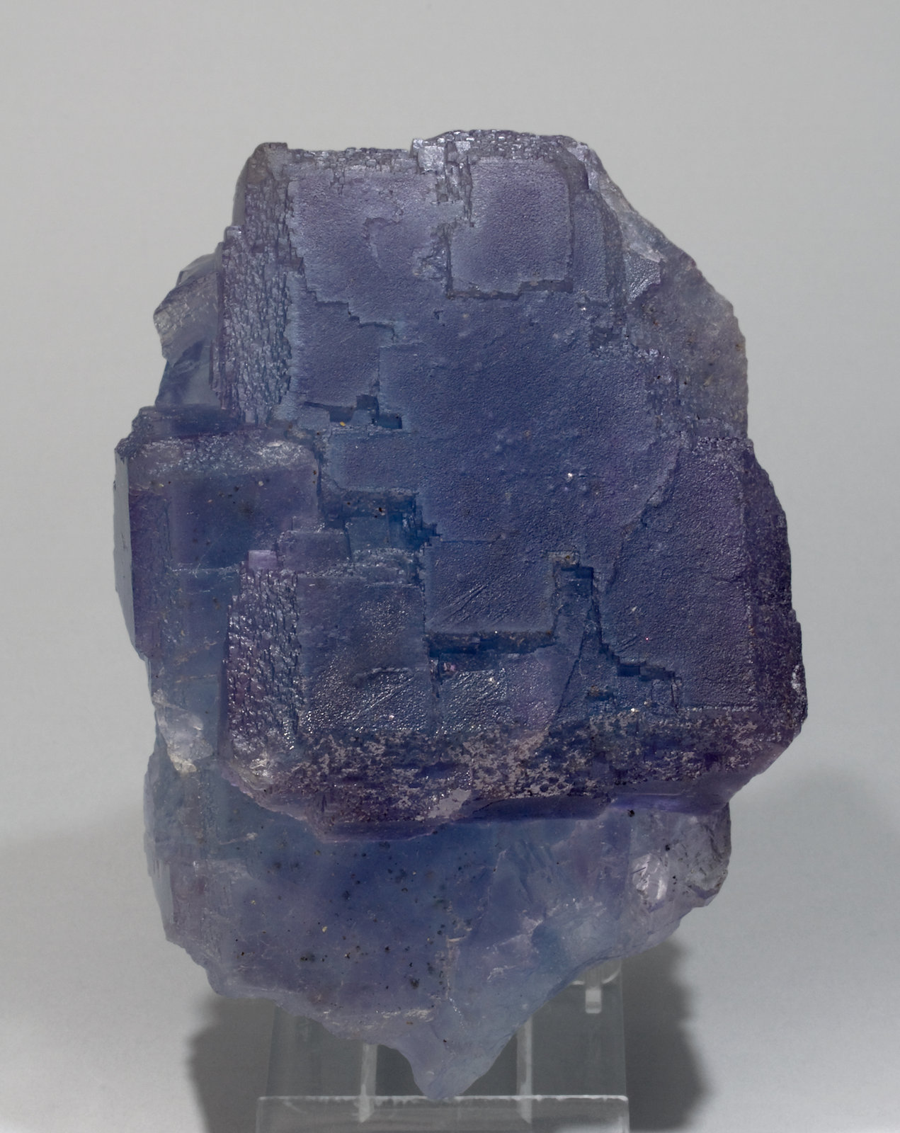 specimens/s_imagesW5/Fluorite-NB37W5f1.jpg