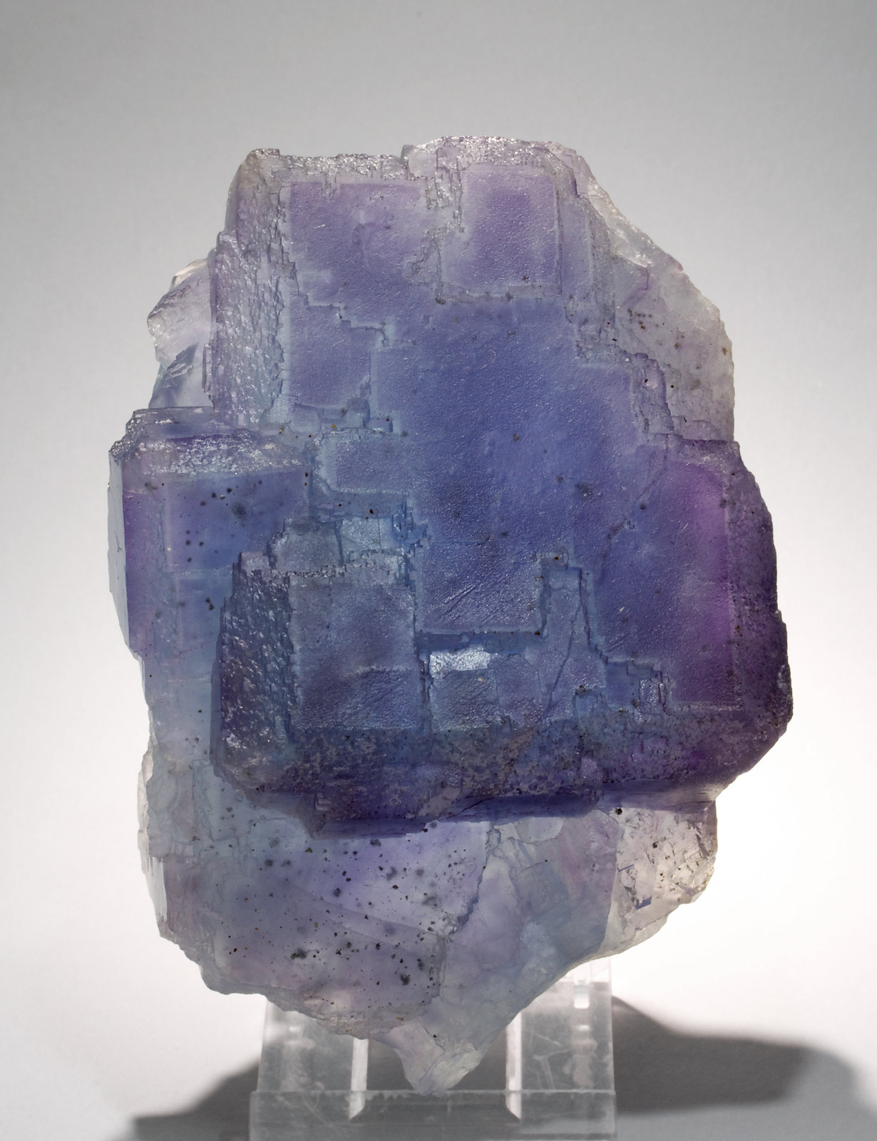 specimens/s_imagesW5/Fluorite-NB37W5f2.jpg