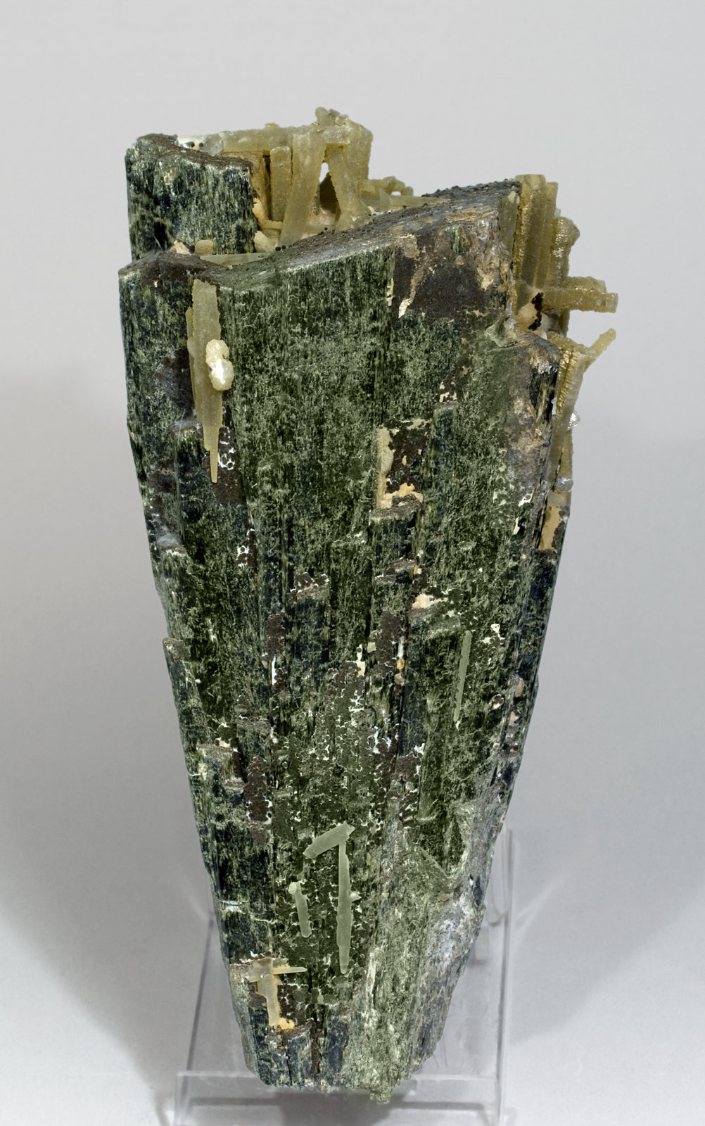 specimens/s_imagesW5/Hedenbergite-MF97W5f.jpg