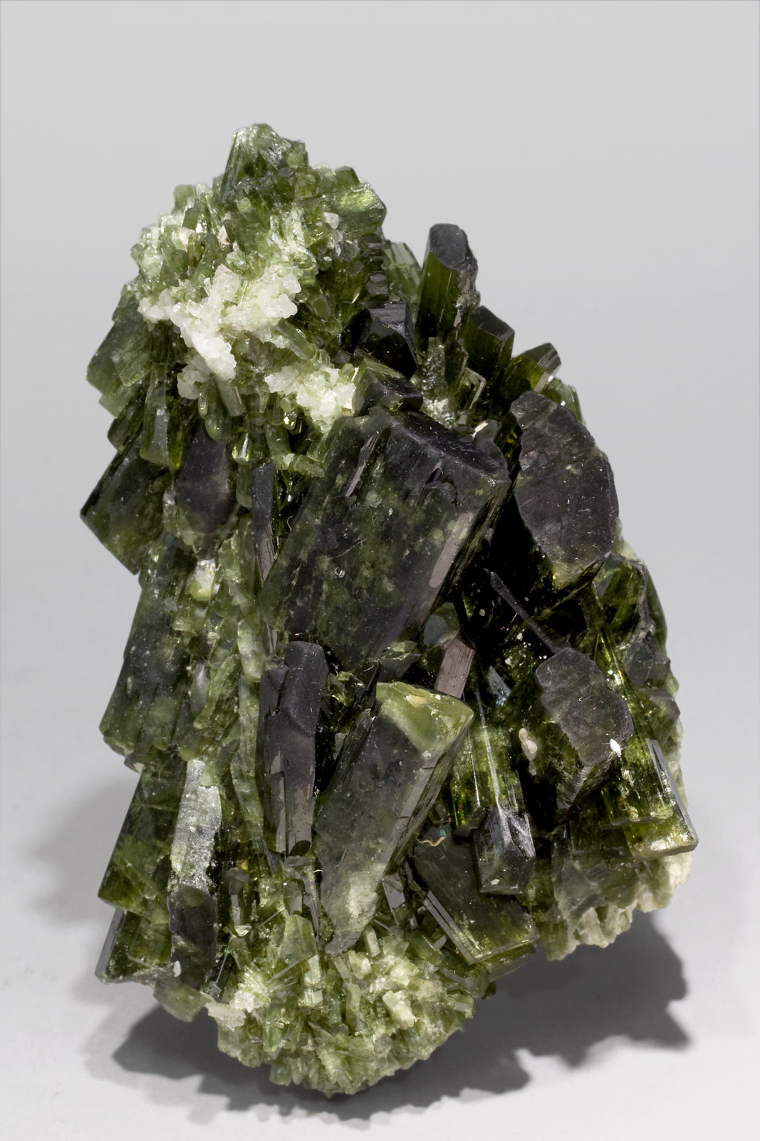 specimens/s_imagesW7/Diopside-EY47W7f.jpg