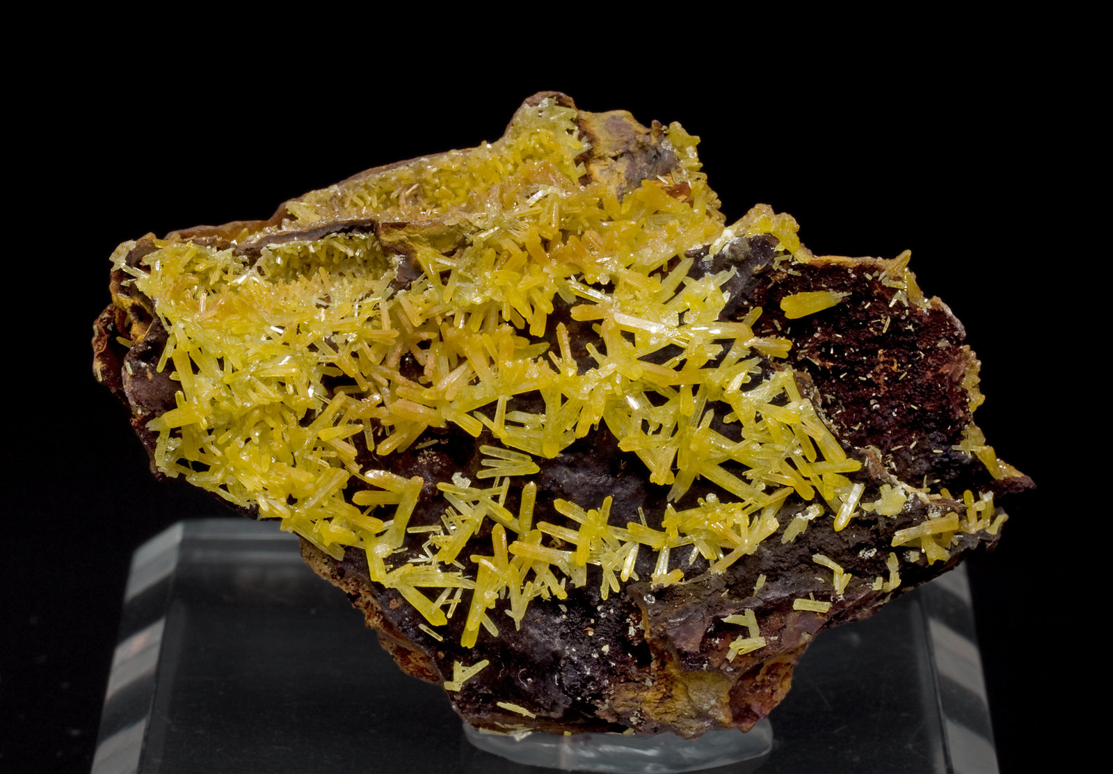 specimens/s_imagesW7/Mimetite-TC56W7f.jpg