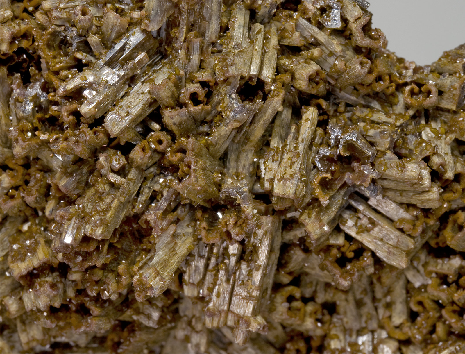 specimens/s_imagesW7/Vanadinite-EZ68W7d.jpg