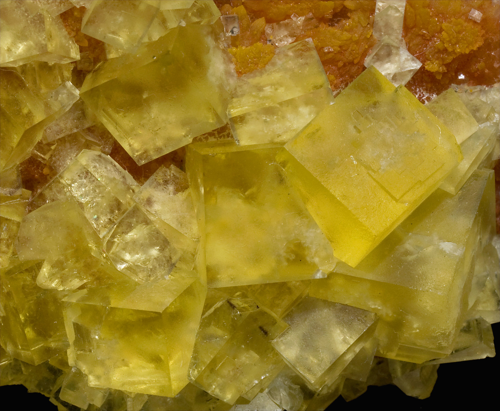 specimens/s_imagesW8/Fluorite-EF56W8d.jpg