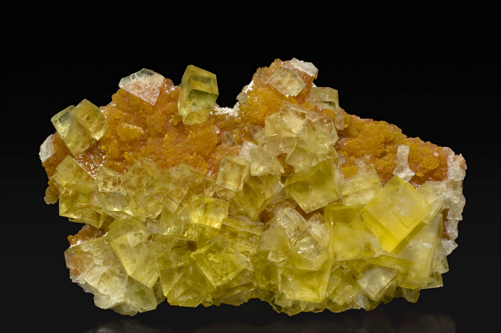 specimens/s_imagesW8/Fluorite-EF56W8f.jpg