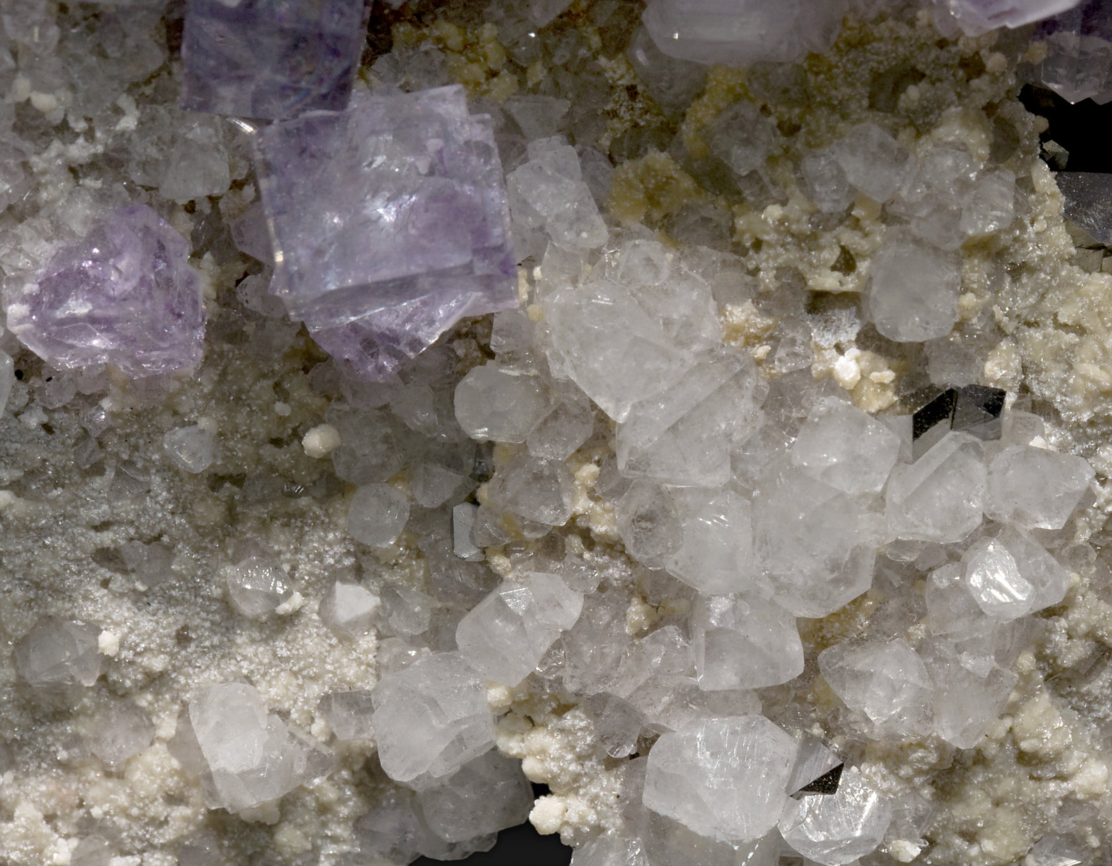 specimens/s_imagesW8/Fluorite-MD67W8d.jpg