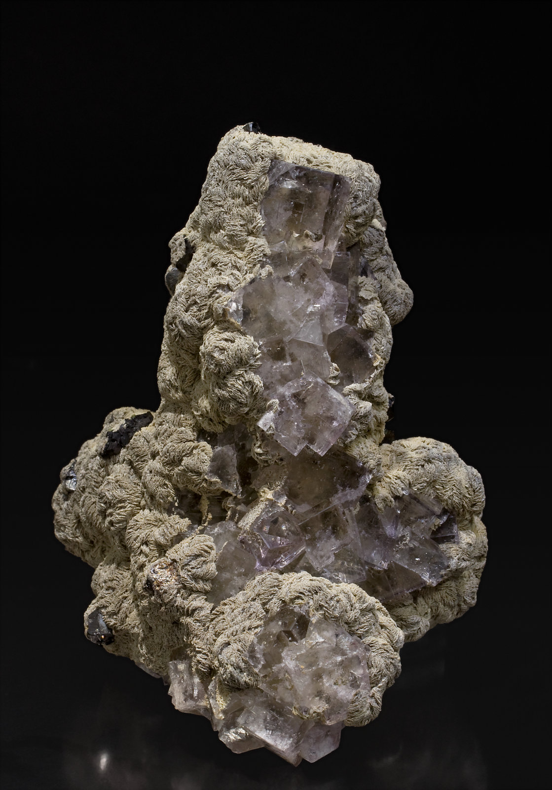 specimens/s_imagesW8/Fluorite-MD86W8f.jpg