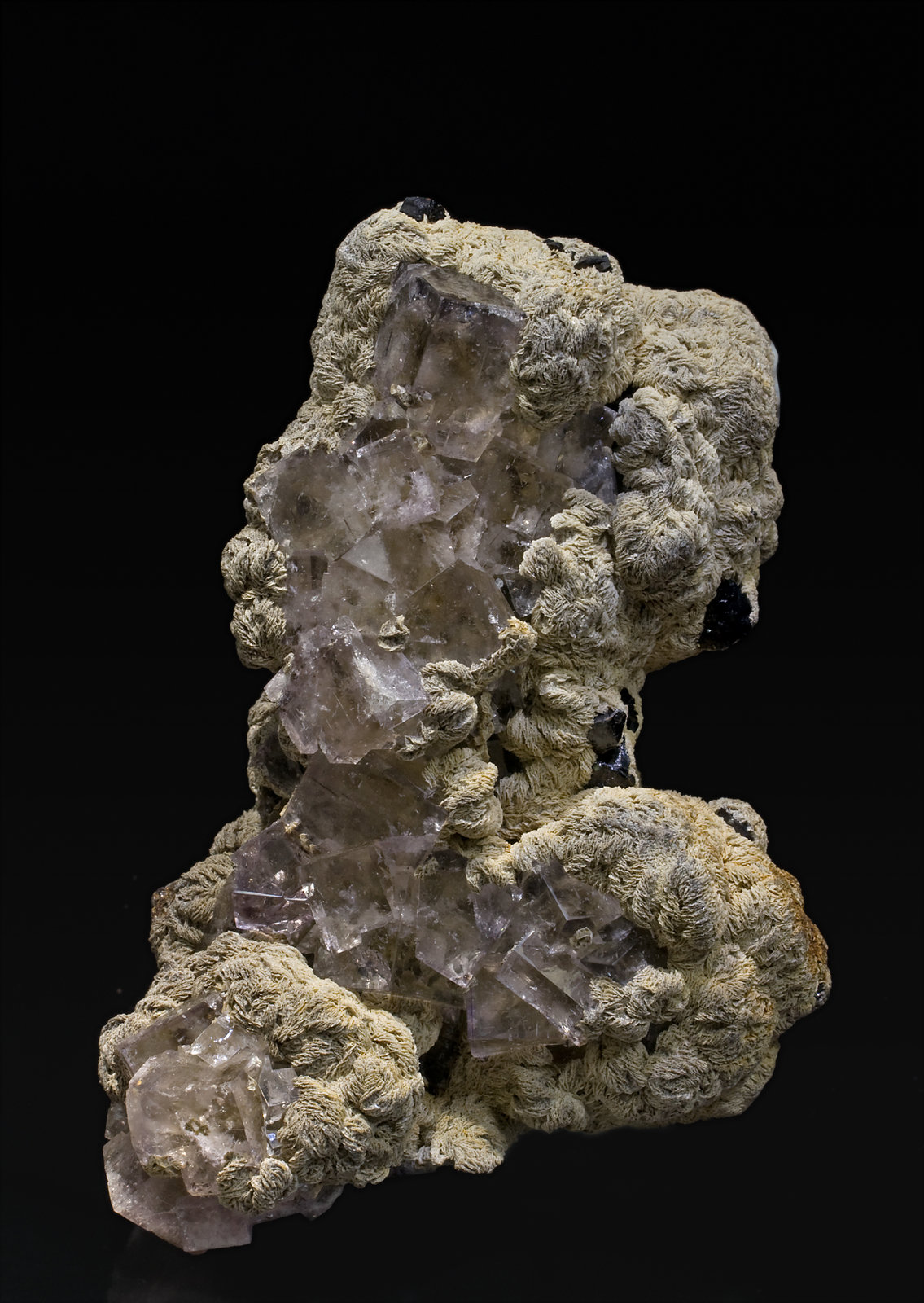 specimens/s_imagesW8/Fluorite-MD86W8s.jpg
