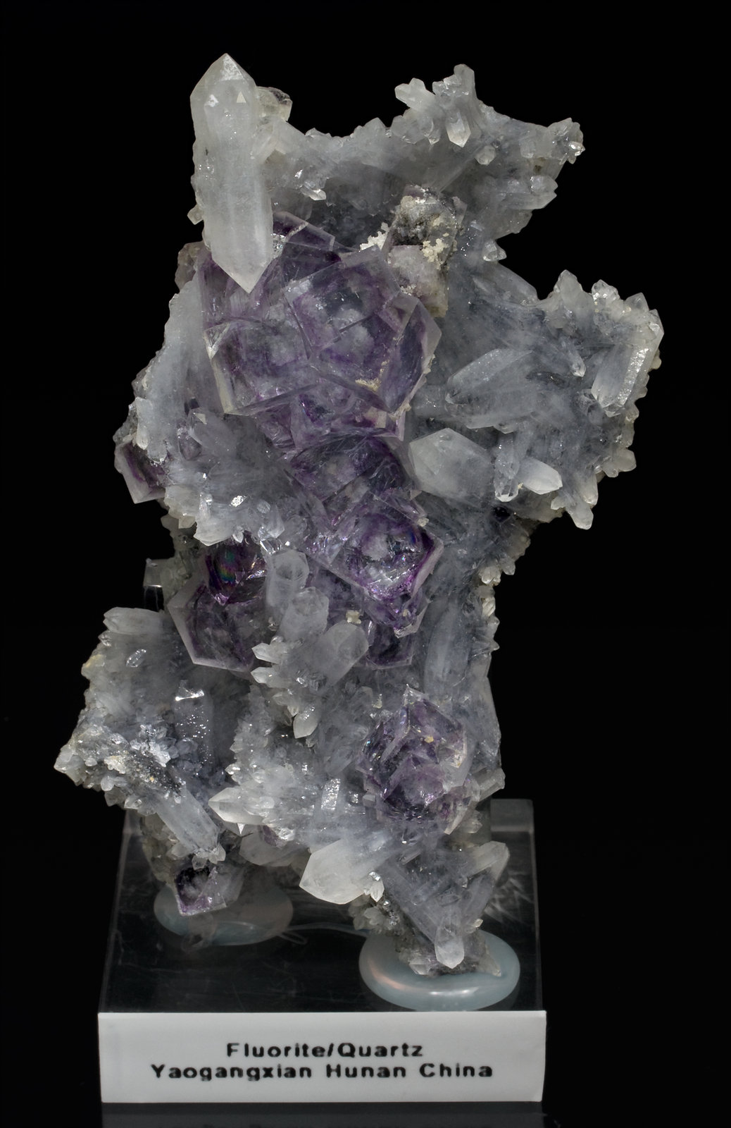 specimens/s_imagesW8/Fluorite-MH46W8f.jpg