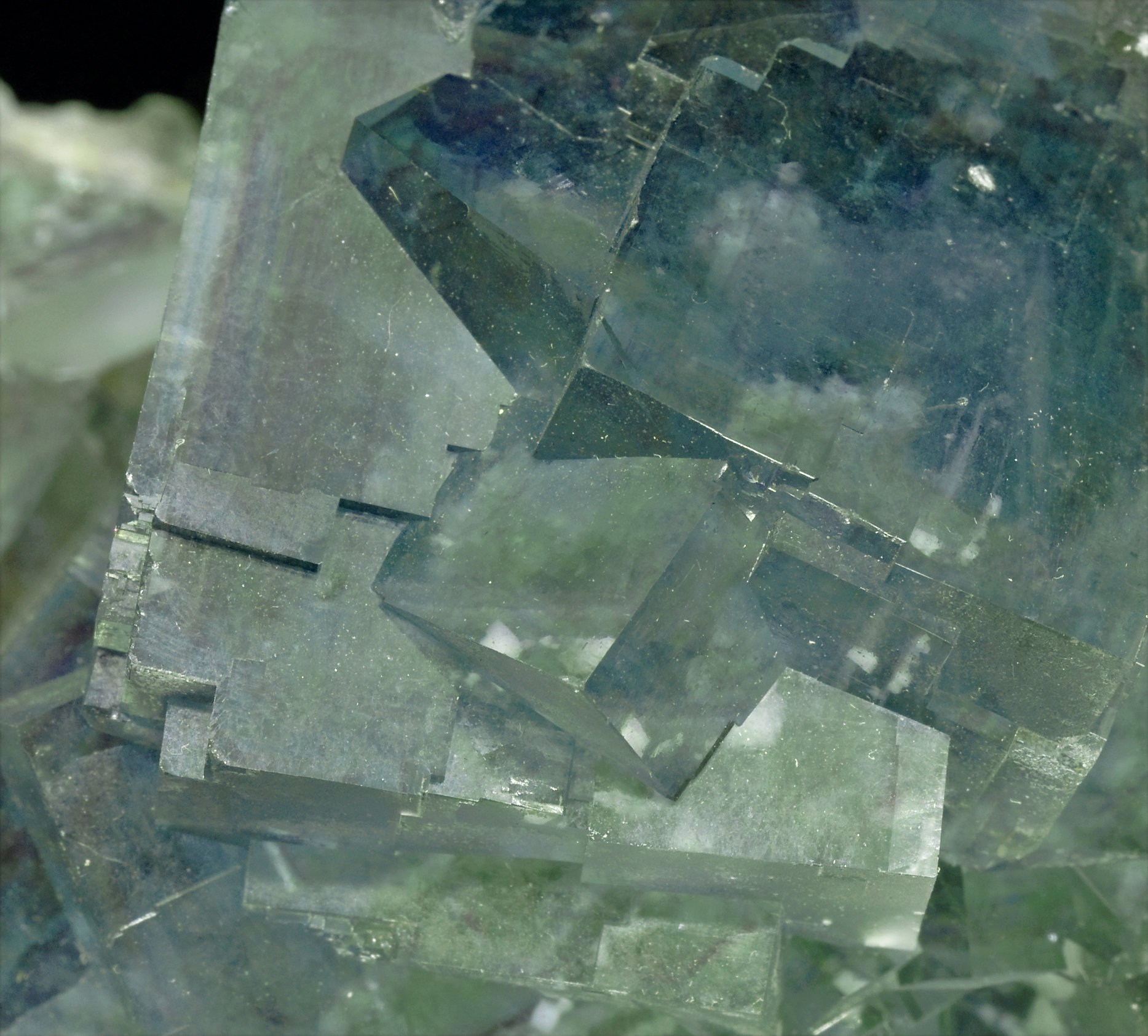 specimens/s_imagesW8/Fluorite-MR49W8d.jpg